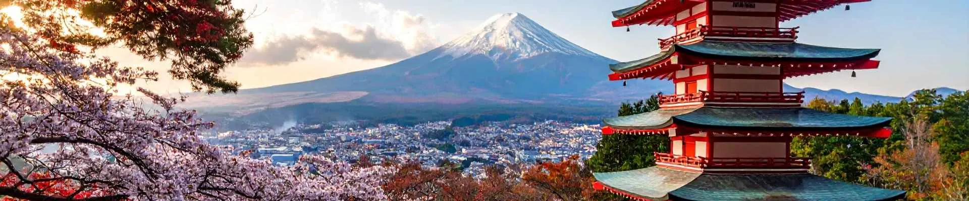Traditionele Japanse pagode met de besneeuwde berg Fuji op de achtergrond