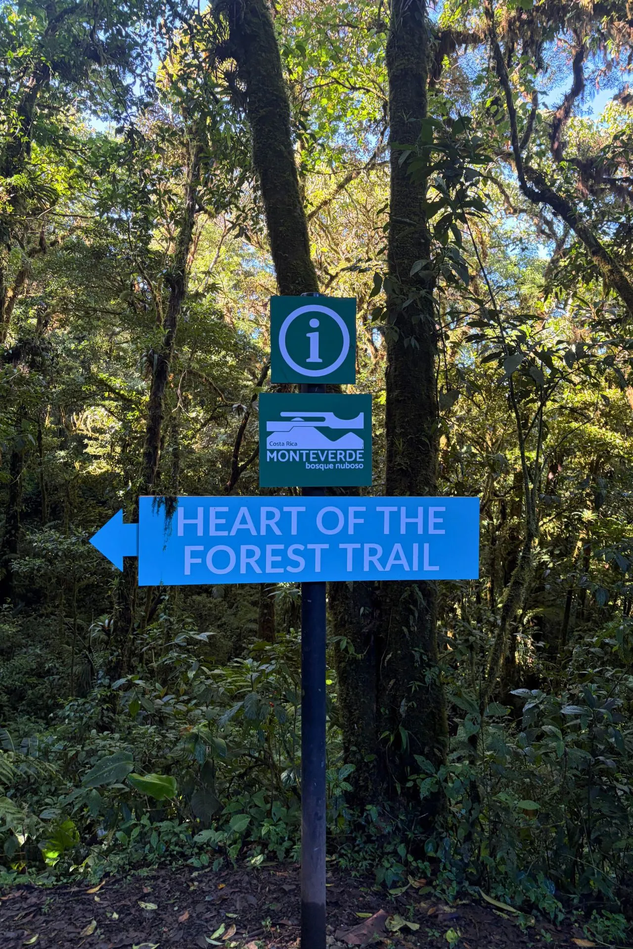 Bewegwijzering in het Monteverde Cloud Forest Reserve in Costa Rica. Wandelroutes zoals de Heart of the Forest Trail leiden bezoekers door het beroemde nevelwoud, waar bijzondere flora, fauna en indrukwekkende natuur centraal staan.