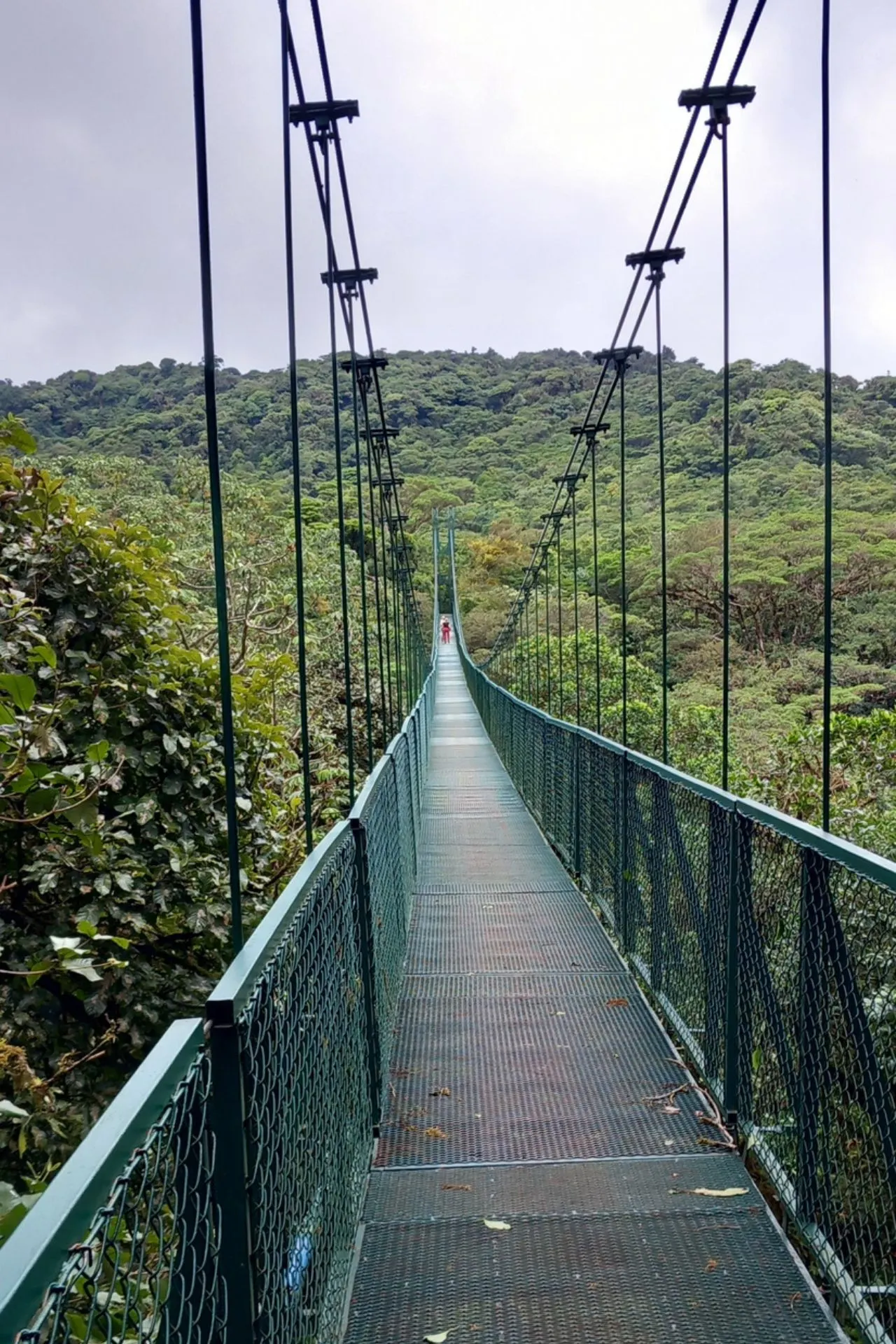 Hangbrug in het nevelwoud van Monteverde, Costa Rica. Tijdens een wandeling over de beroemde hangbruggen ontdek je de natuur vanuit de boomtoppen en geniet je van panoramische uitzichten over het uitgestrekte cloud forest. 