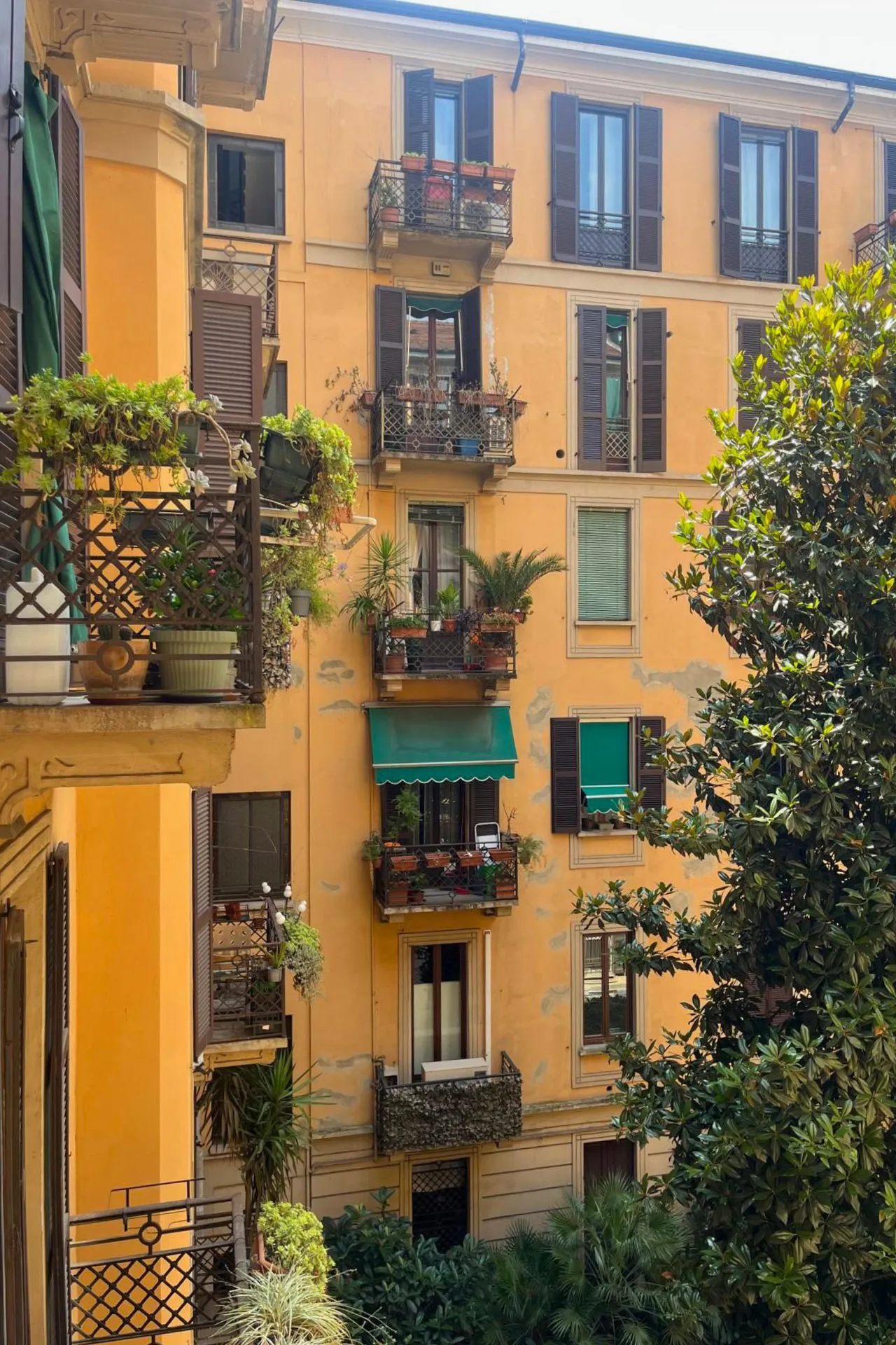 Zicht op een warme okergele gevel in een binnenplaats in Brera, Milaan, met klassieke houten luiken, bloeiende balkonnetjes en weelderige beplanting aan de voet van het gebouw.