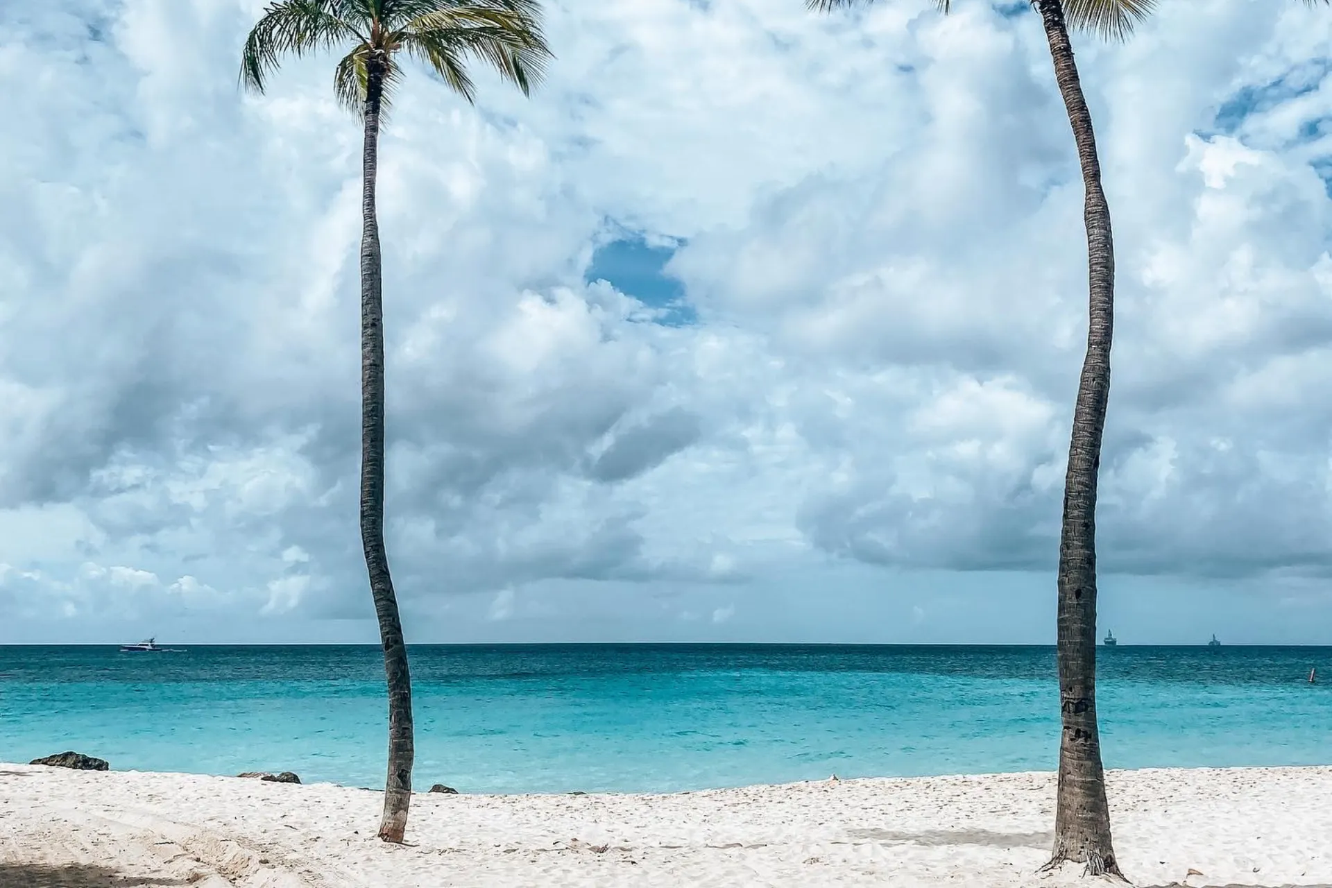 "Wit zandstrand met twee hoge palmbomen die uitkijken over een turquoise zee, onder een deels bewolkte blauwe lucht met lichte wolken, een idyllische tropische kustlijn die perfect is voor ontspanning, zonvakanties en exotische strandbestemmingen."