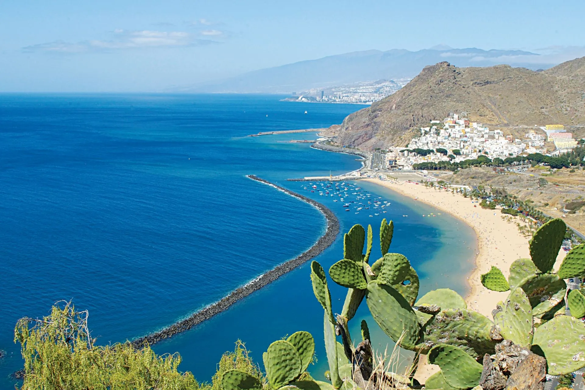 Zicht op een goudgeel zandstrand met turquoise zee aan de kust van Tenerife, met op de voorgrond cactussen, een kleurrijk dorpje op de heuvel en bergen op de achtergrond.