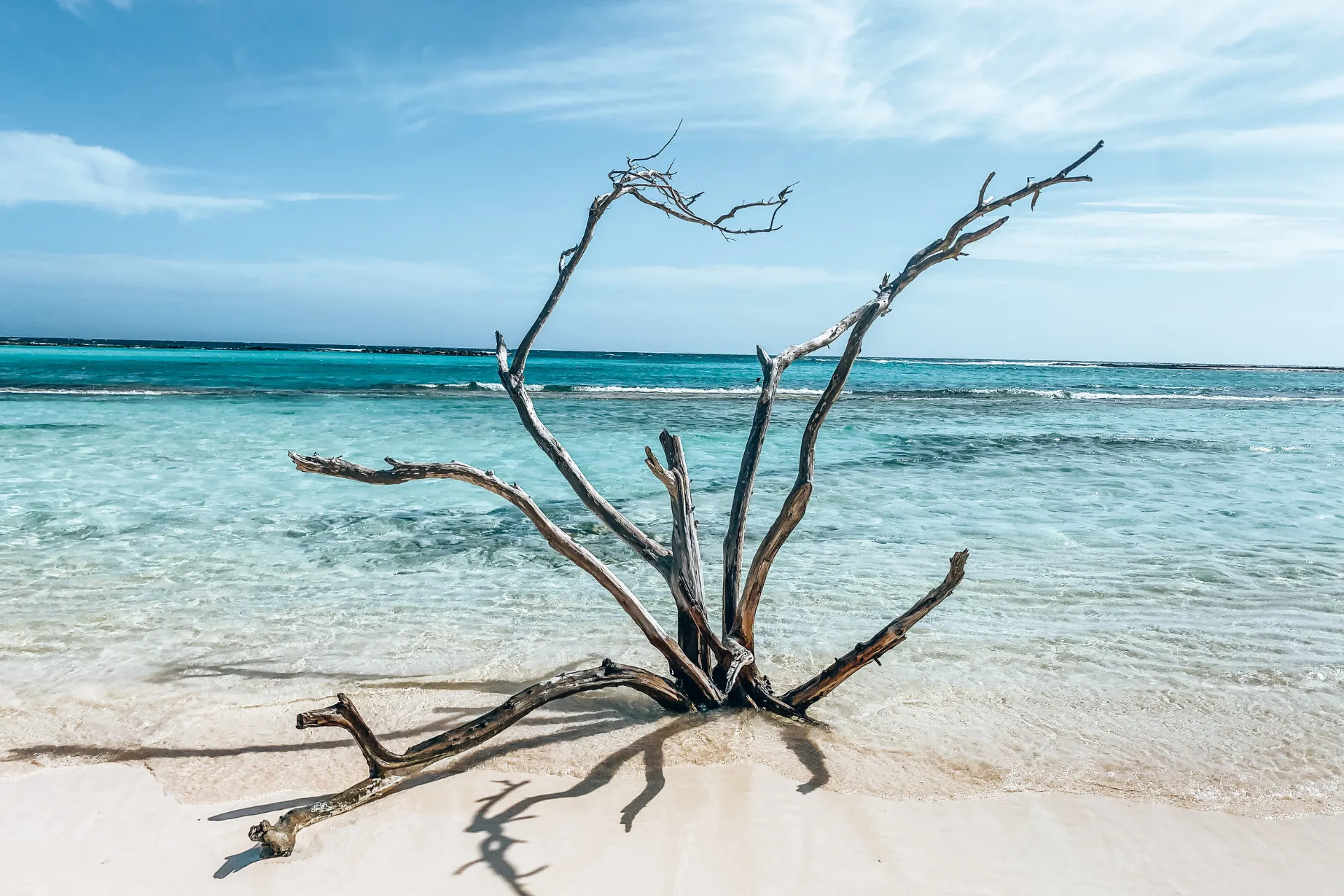 Afgebroken boomtakken op een wit zandstrand aan de Caribische kust, omringd door helder turquoise water en zachte golven onder een lichtblauwe lucht met dunne wolken, een idyllische en serene plek voor strandwandelingen en tropische vakanties.
