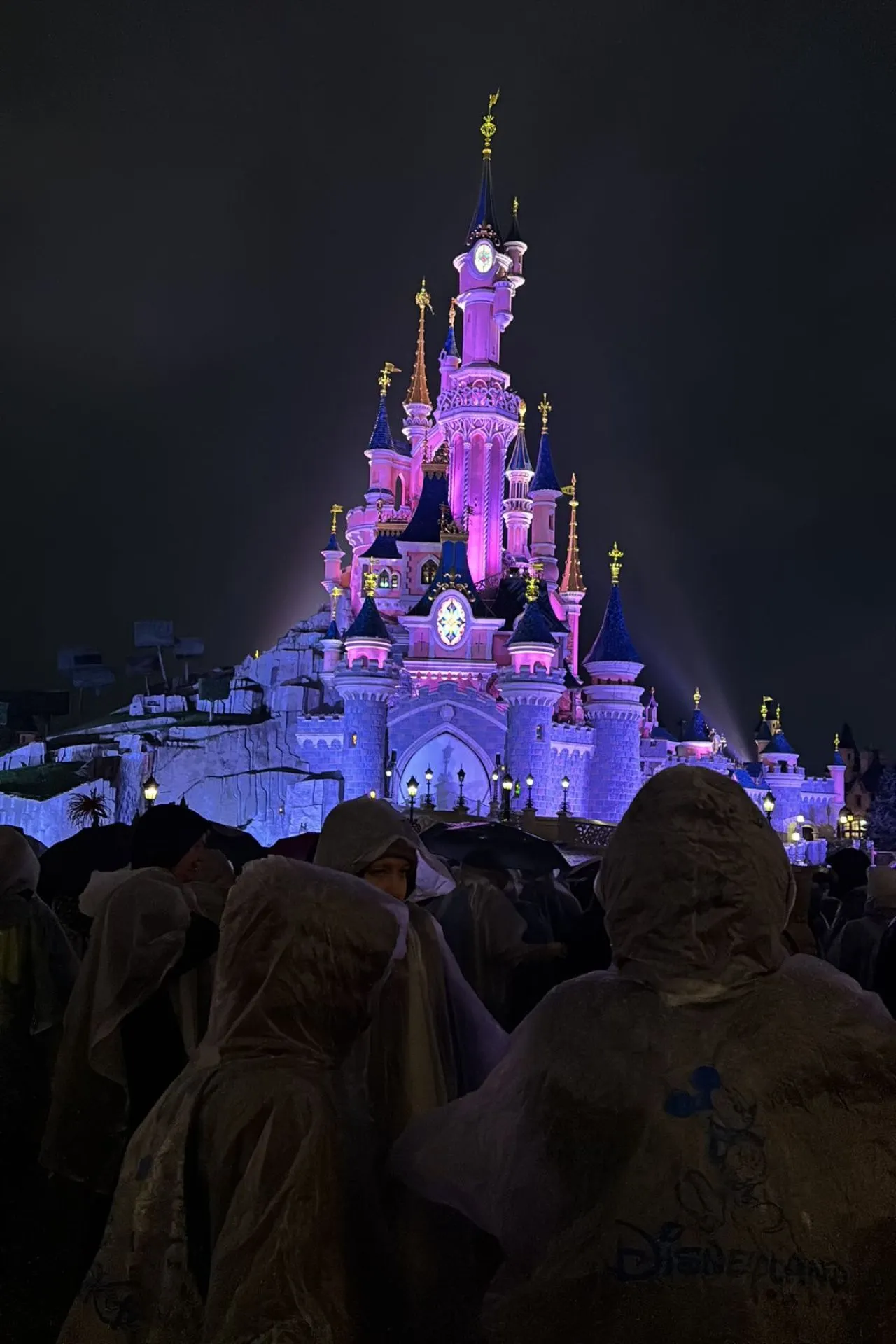Het iconische Kasteel van Doornroosje in Disneyland Parijs is ’s avonds schitterend verlicht in roze en paarse tinten tijdens de populaire avondshow. Voor het kasteel staat een grote groep bezoekers in regenponcho’s, klaar om de licht- en vuurwerkshow te bekijken. De sfeervolle verlichting, magische kleuren en drukte rondom het sprookjeskasteel maken deze foto een typisch beeld van een avond in Disneyland Park vol magie, entertainment en Disney-beleving.