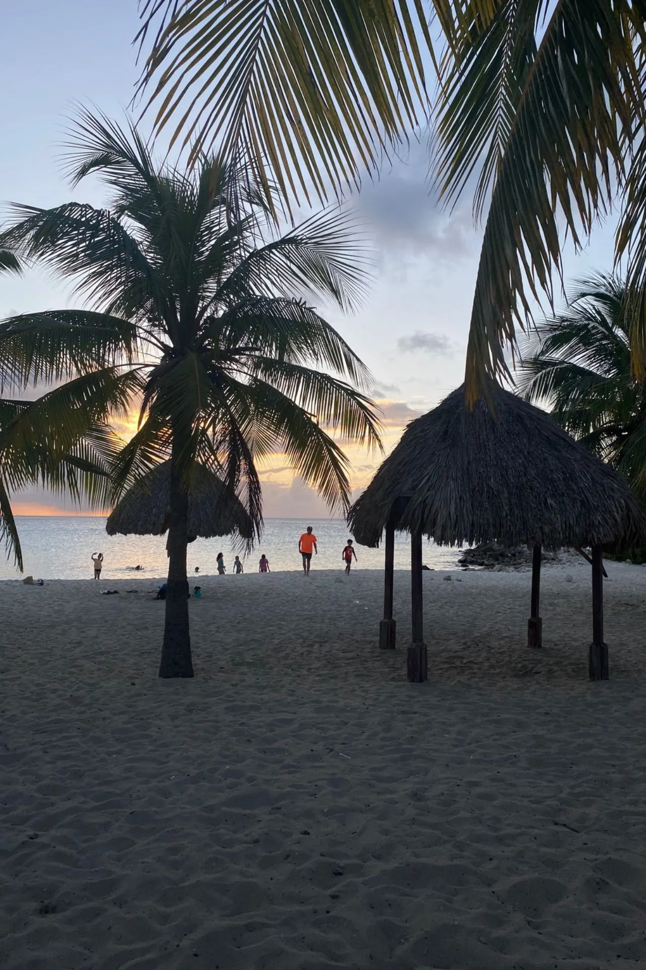 Zonsondergang op het strand van Curaçao met palmbomen en de zee op de achtergrond. Een rustig moment waarbij de lucht warm kleurt en het eiland zijn ontspannen, tropische sfeer laat zien.