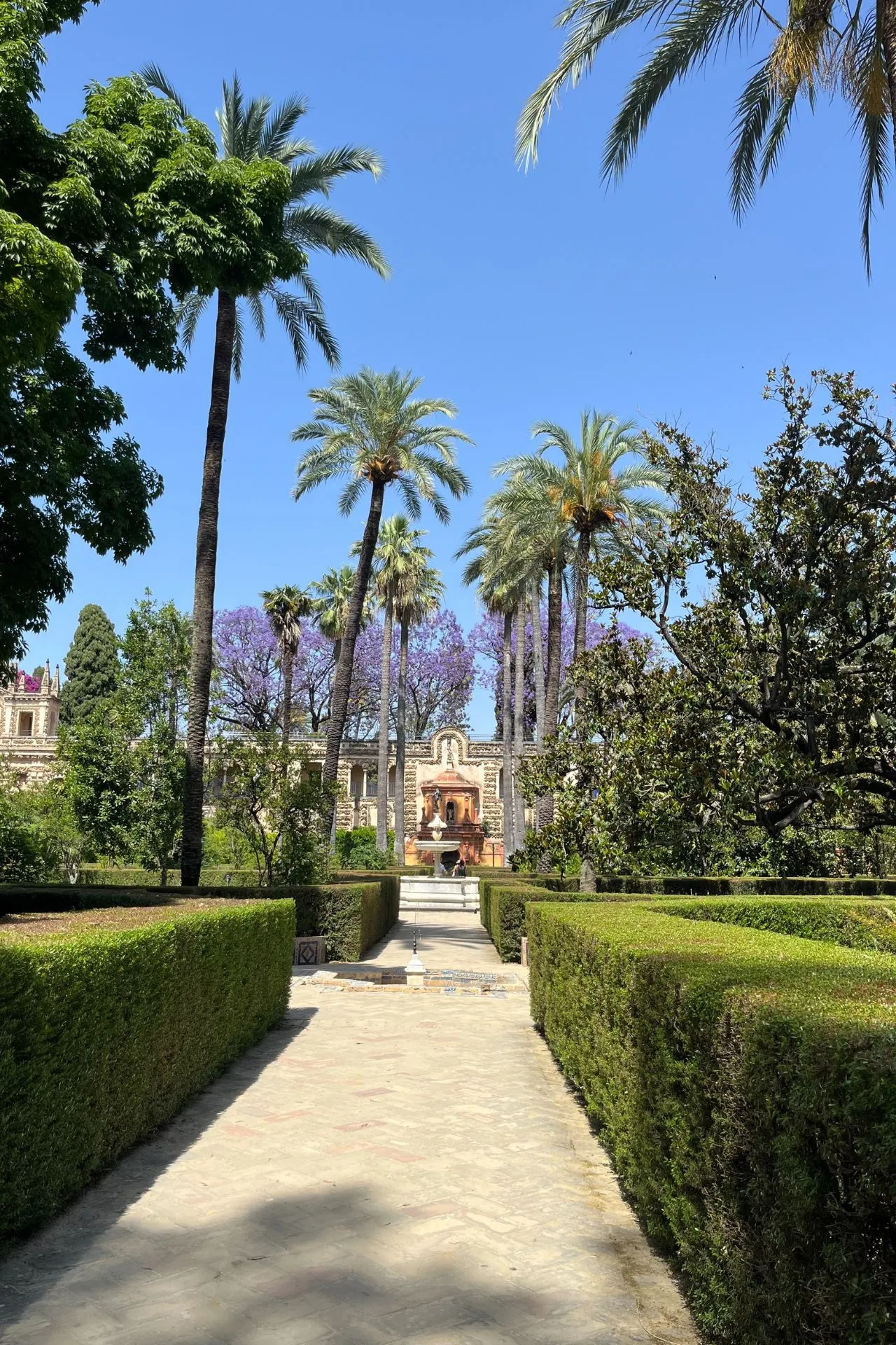 Lange tuinpad in het Real Alcázar van Sevilla, omringd door perfect gesnoeide heggen, palmbomen en bloeiende jacarandabomen. Aan het einde van het pad is een sierlijk gebouw met boog en fontein zichtbaar.