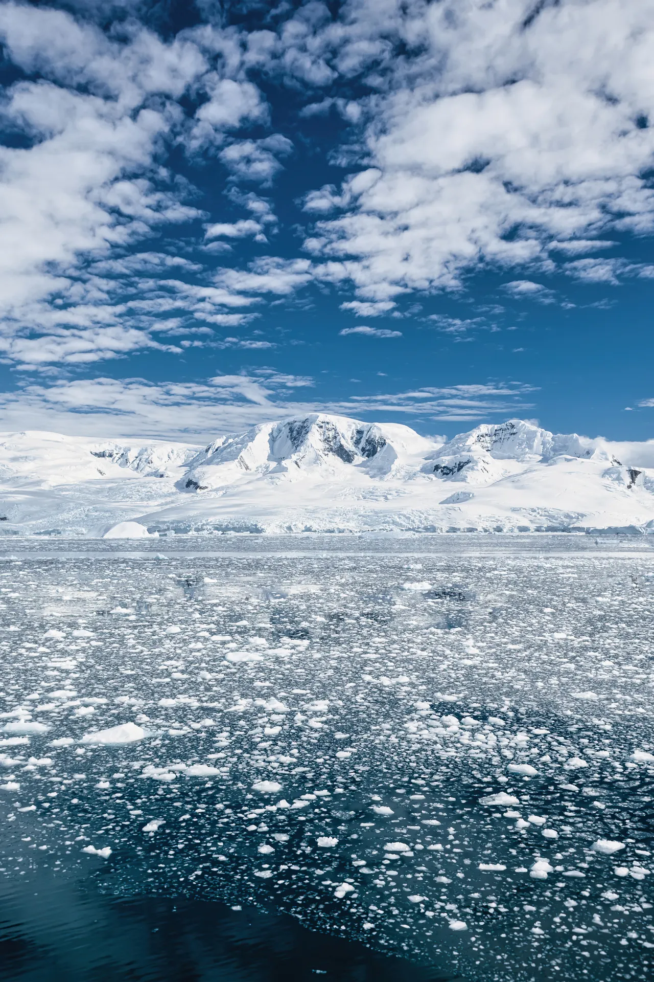 Gebroken ijs en imposante ijsbergen drijvend in helder water in het adembenemende landschap van Antarctica.
