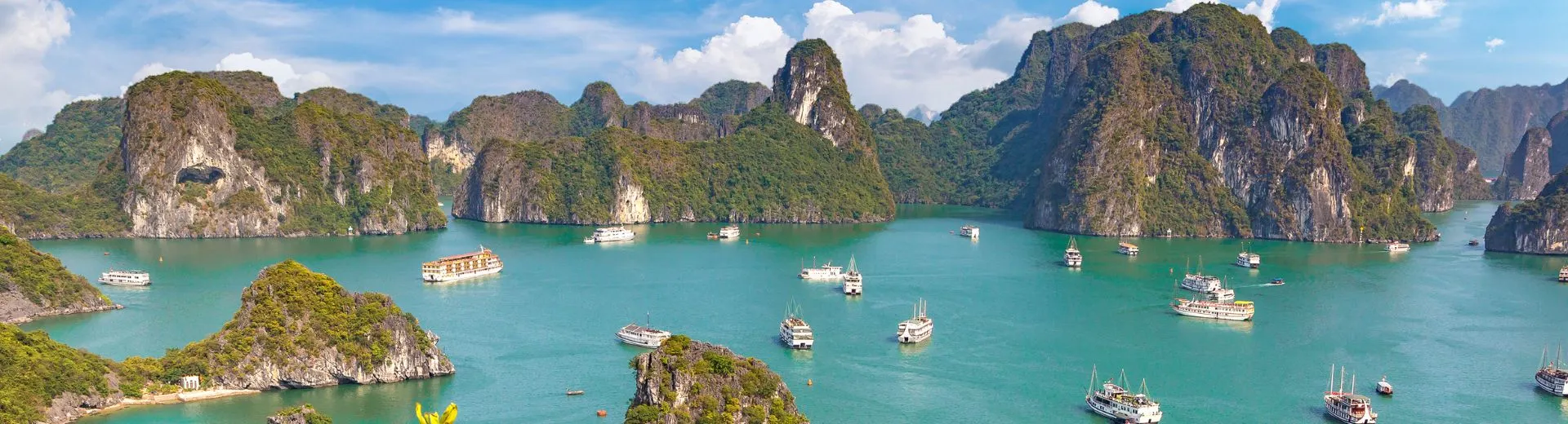 Panoramisch uitzicht op Halong Bay in Vietnam met turquoise water, tientallen witte boten en imposante kalkstenen rotsformaties die uit zee omhoog rijzen onder een licht bewolkte blauwe lucht.