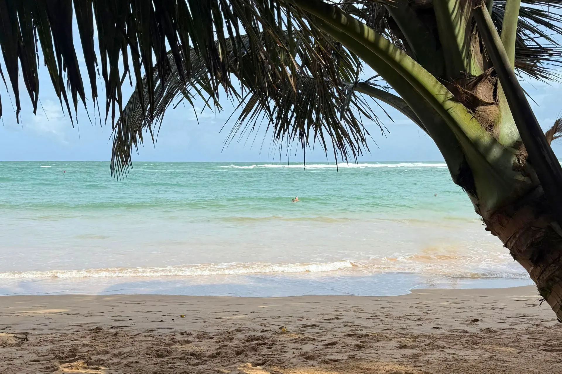 Rustig strand in Sri Lanka met turquoise zee, lichte branding en een palmboom op de voorgrond.