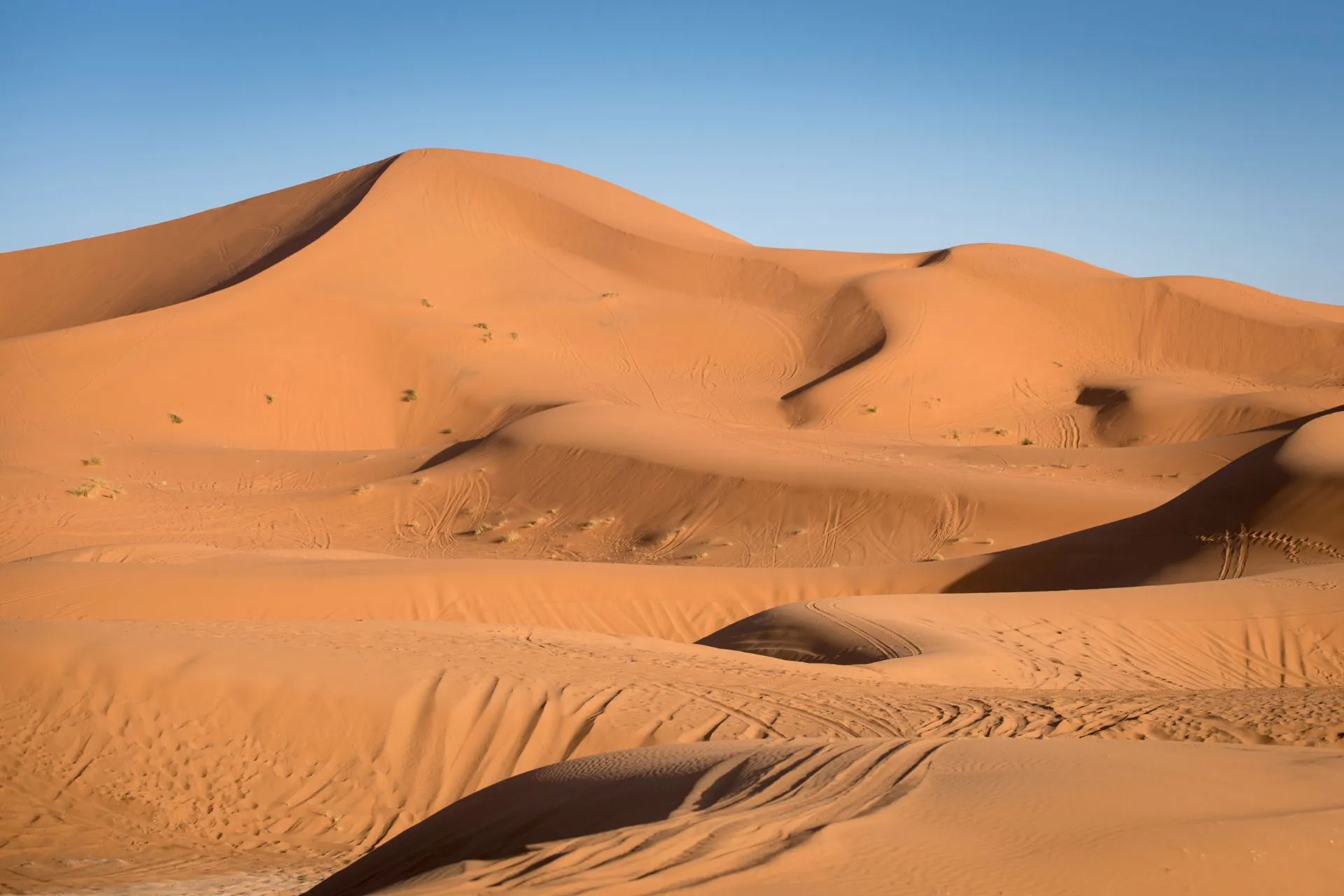 Uitgestrekte zandduinen van de Sahara in Marokko, die zich eindeloos uitstrekken onder een heldere blauwe lucht.