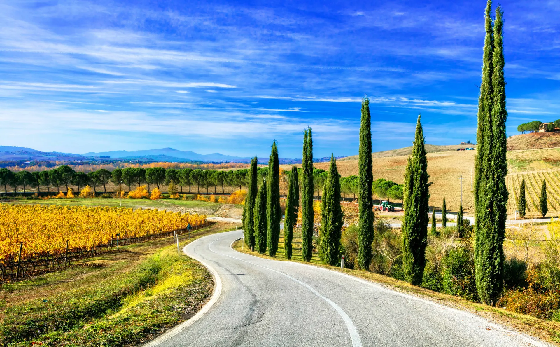 Chianti