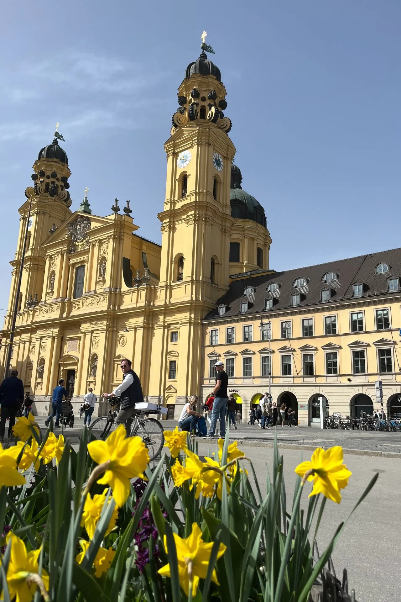 De prachtige Theatinerkirche in München, met zijn opvallende gele barokgevel, omringd door een levendige sfeer en kleurrijke lentebloemen.