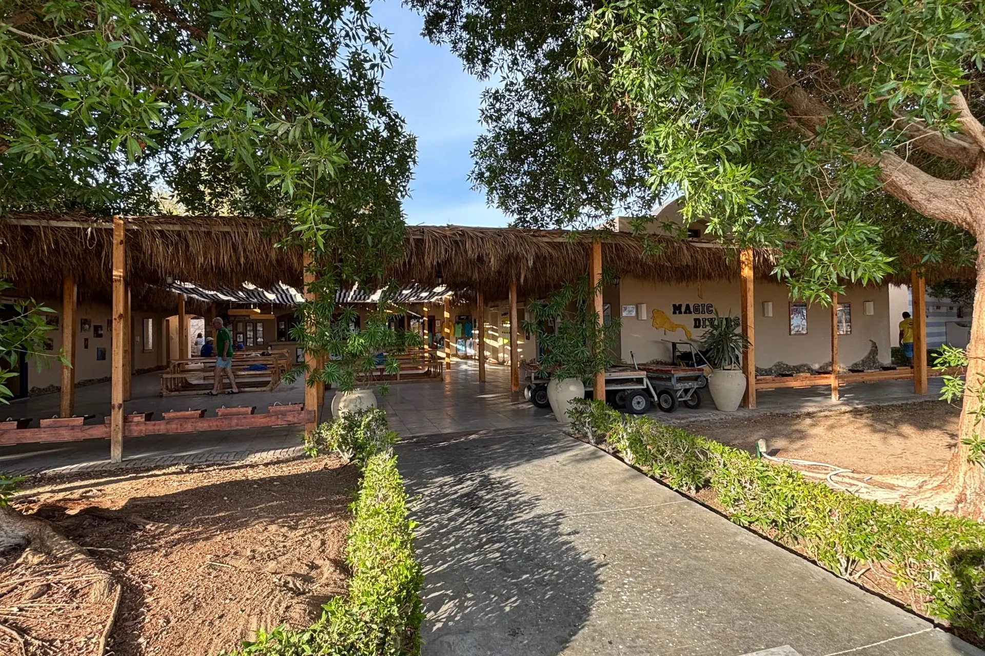 Gezicht op een duikcentrum met rieten dak en houten constructie, omringd door groene bomen en planten. Op de voorgrond ligt een betegeld pad met lage heggen, terwijl binnen tafels en stoelen zichtbaar zijn. Links staan duikuitrustingen en wagens klaar voor gebruik. Dit beeld benadrukt avontuur en sportieve activiteiten, ideaal voor promotie van duikexcursies en outdoor ervaringen in Egypte.