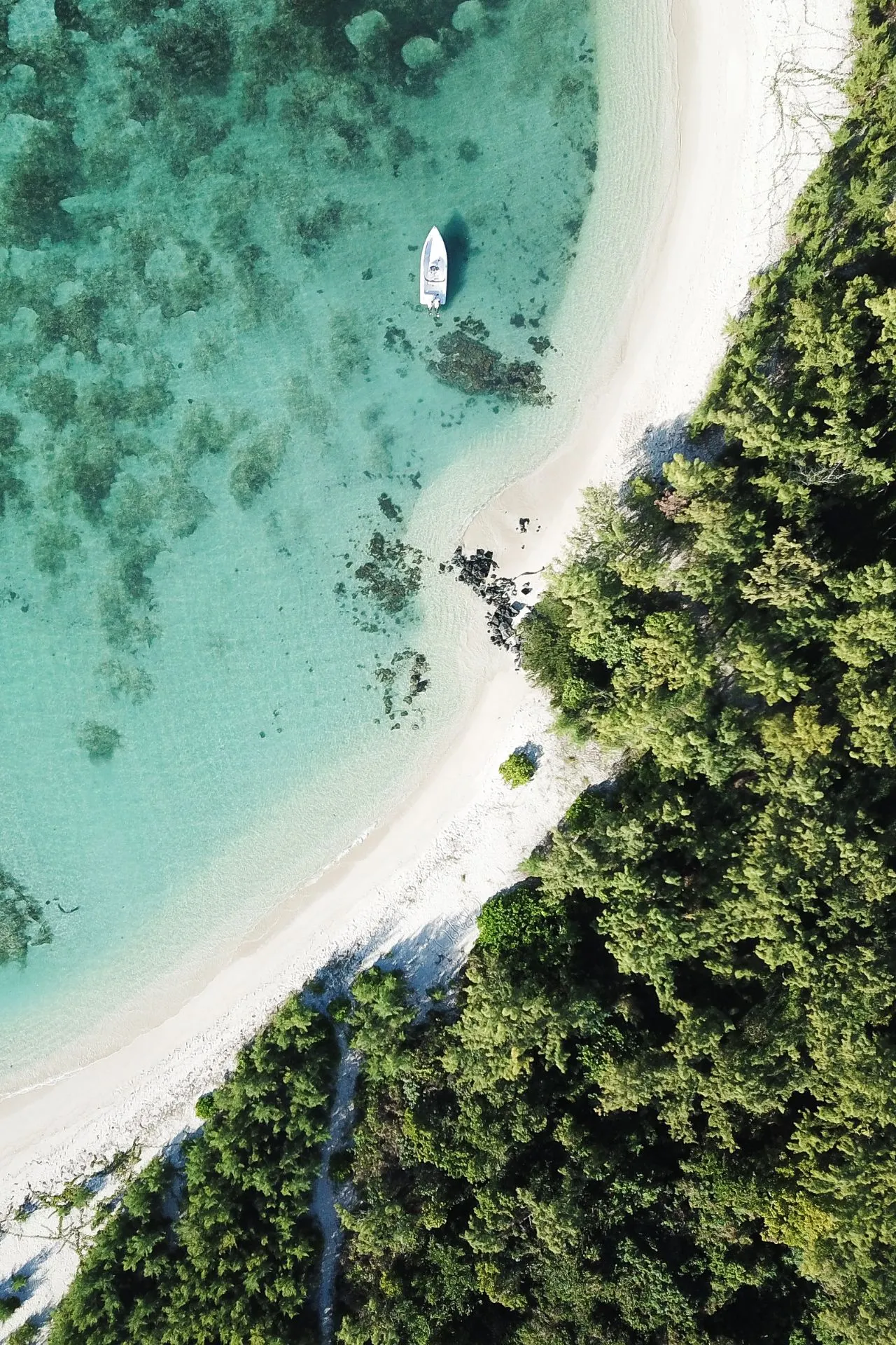 Een idyllisch wit zandstrand met kristalhelder water op Mauritius, perfect voor een zonvakantie. Geniet van een ontspannen en betaalbare vakantie aan de tropische kust.