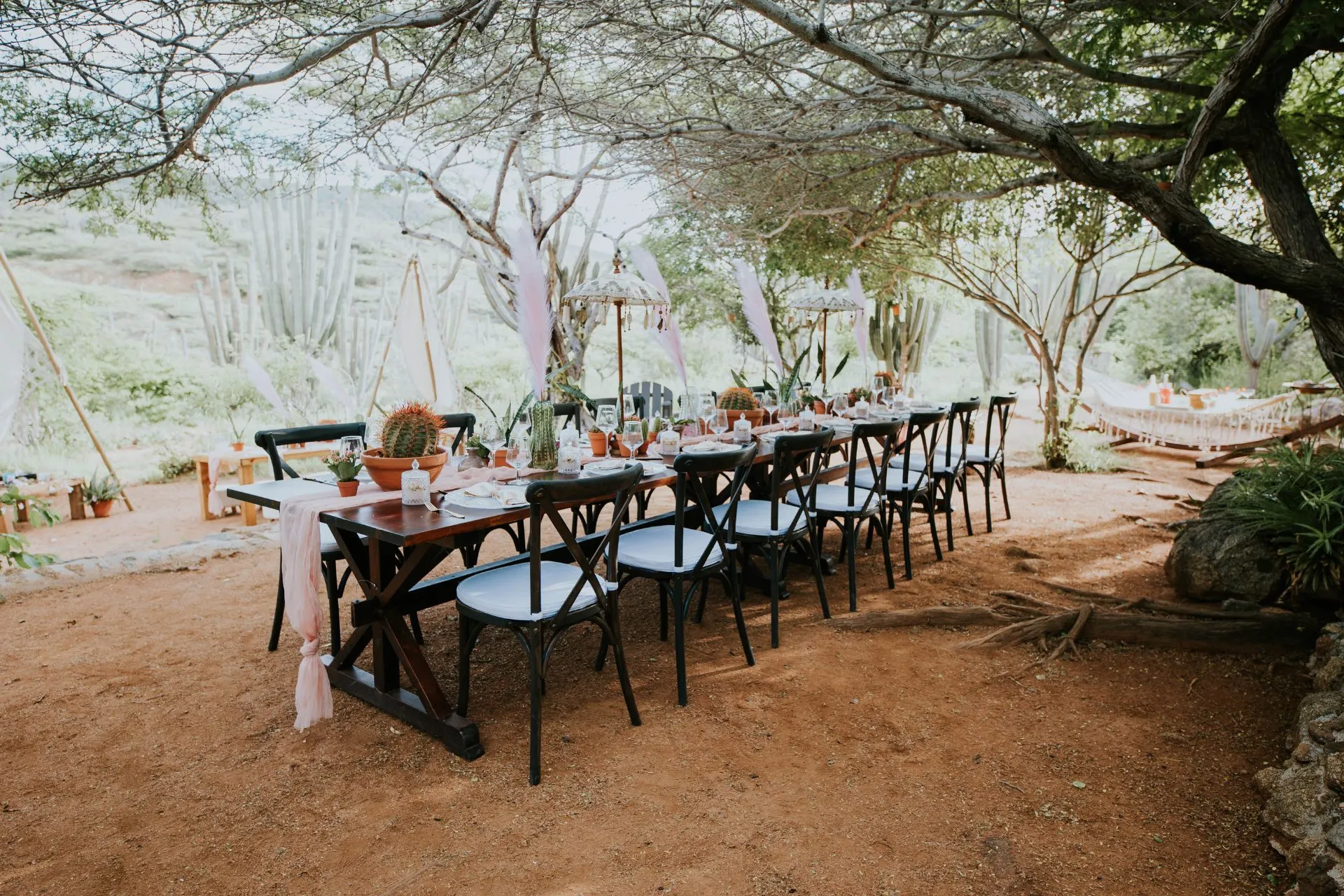 Een lange, stijlvol gedekte tafel op een buitenlocatie in Aruba, omgeven door een natuurlijke woestijnachtige omgeving met cactussen en bomen. De tafel is versierd met kleurrijke accenten, terracotta potten met cactussen en delicate decoraties. In de achtergrond zijn hangmatten en uitnodigende zitplekken zichtbaar, wat een ontspannen en feestelijke sfeer creëert.