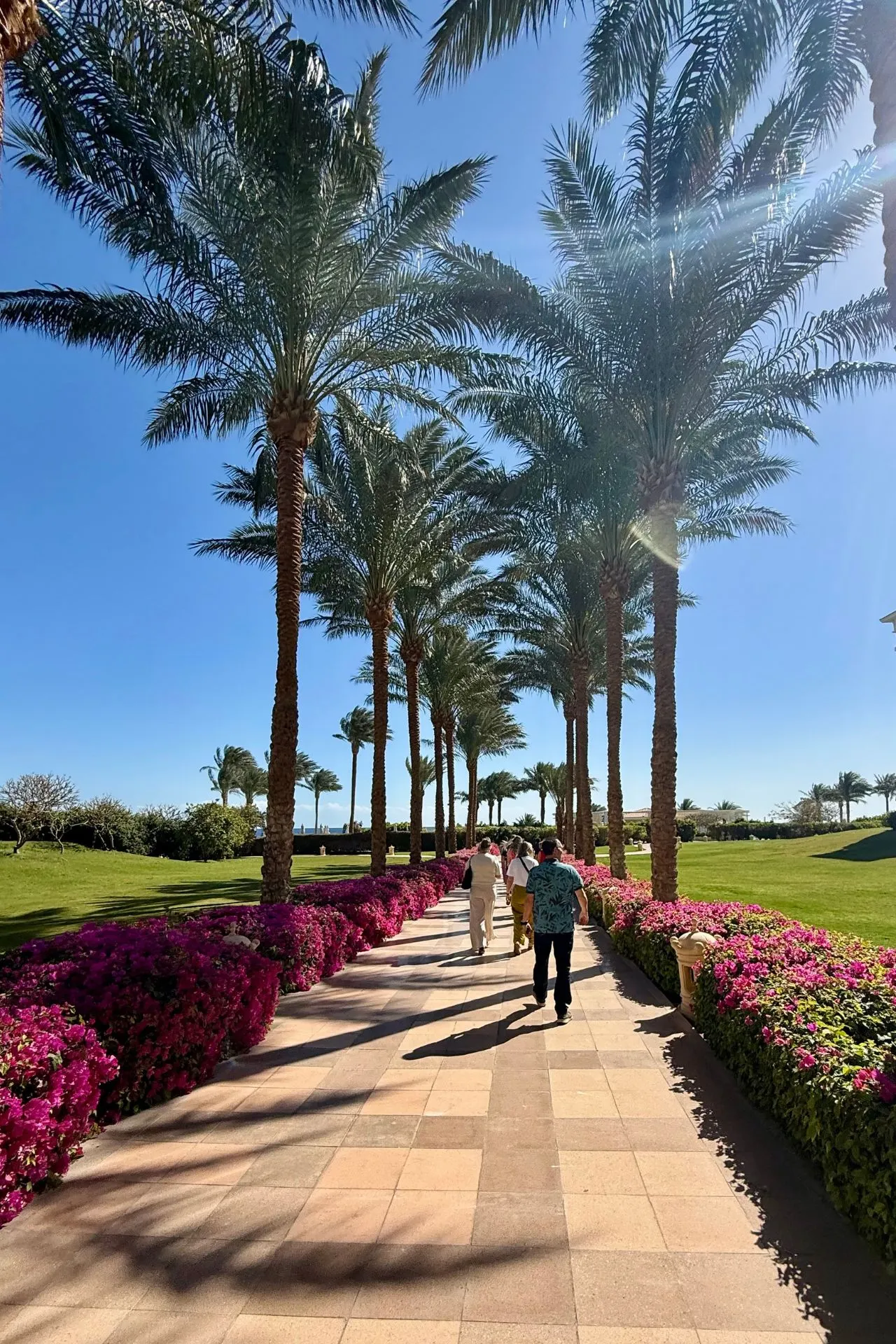 Palmrijke tuin en wandelpad bij Baron Palace Sahl Hasheesh aan de Rode Zee in Egypte.


