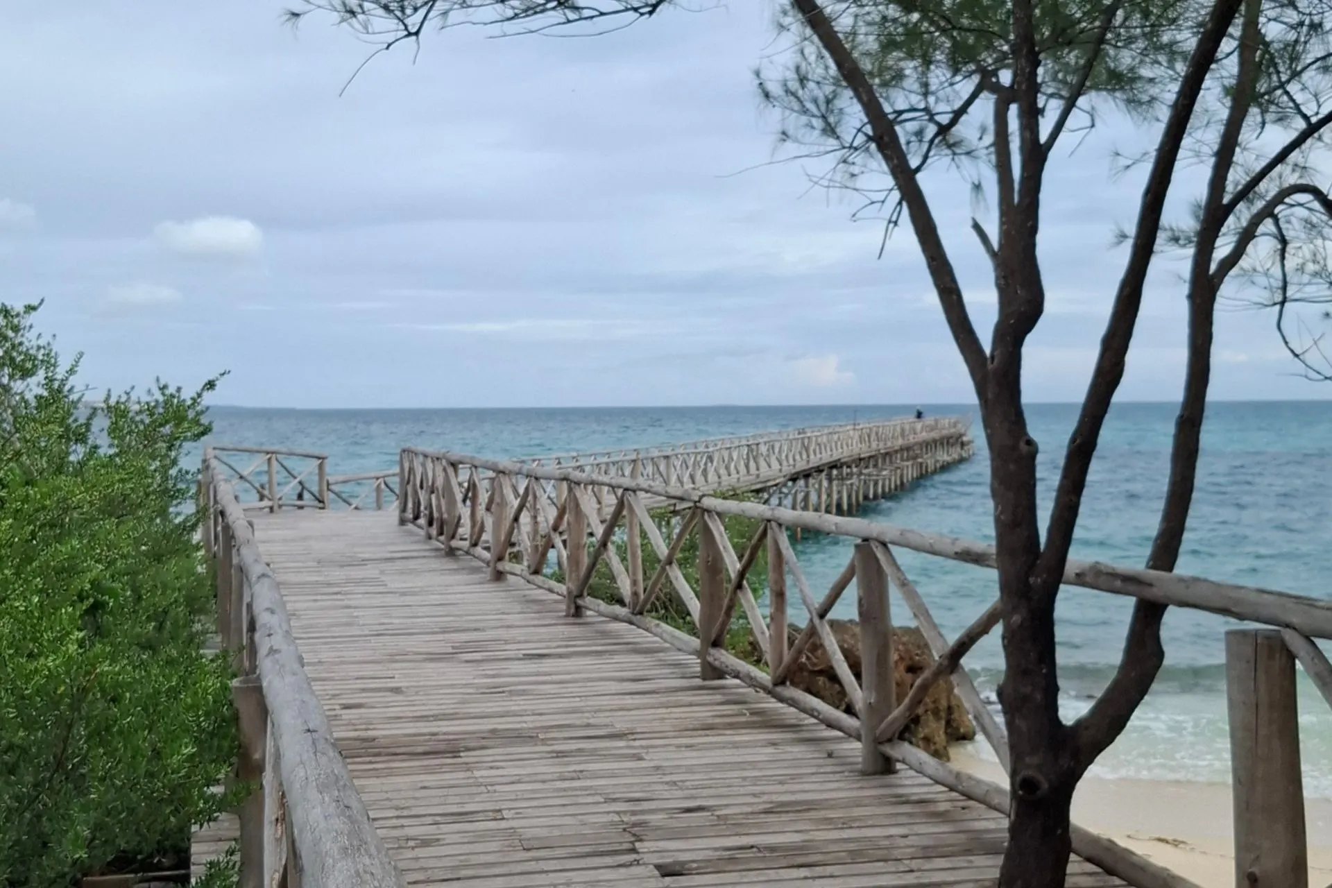 Houten wandelpier op Prison Island voor de kust van Zanzibar, omringd door helderblauw water van de Indische Oceaan. Dit historische eiland, op korte afstand van Stone Town, staat bekend om zijn reuzenschildpadden, koloniale geschiedenis en prachtige uitzichten. Een populaire excursie tijdens een vakantie op Zanzibar.