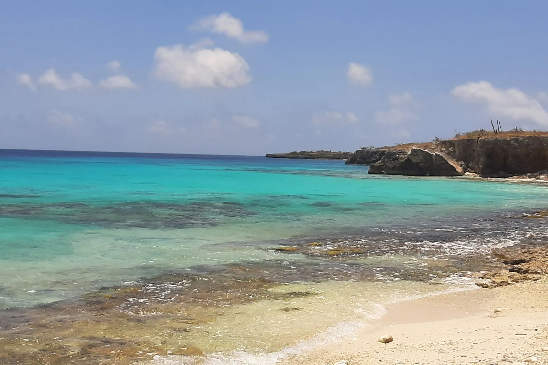 Prachtig uitzicht op een idyllisch strand op Bonaire met helder turquoise water, rustige golven en een rotsachtige kustlijn. De Caribische zee schittert onder een blauwe lucht met enkele witte wolken. Bonaire staat bekend om zijn ongerepte stranden, kristalhelder water en perfecte omstandigheden voor snorkelen en duiken. Deze tropische bestemming biedt een paradijs voor natuurliefhebbers en zonaanbidders, met adembenemende uitzichten en een ontspannen sfeer.