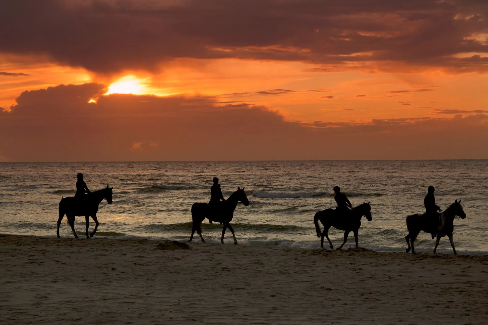 4 mensen rijden tijdens de zonsondergang met een paard over het strand.