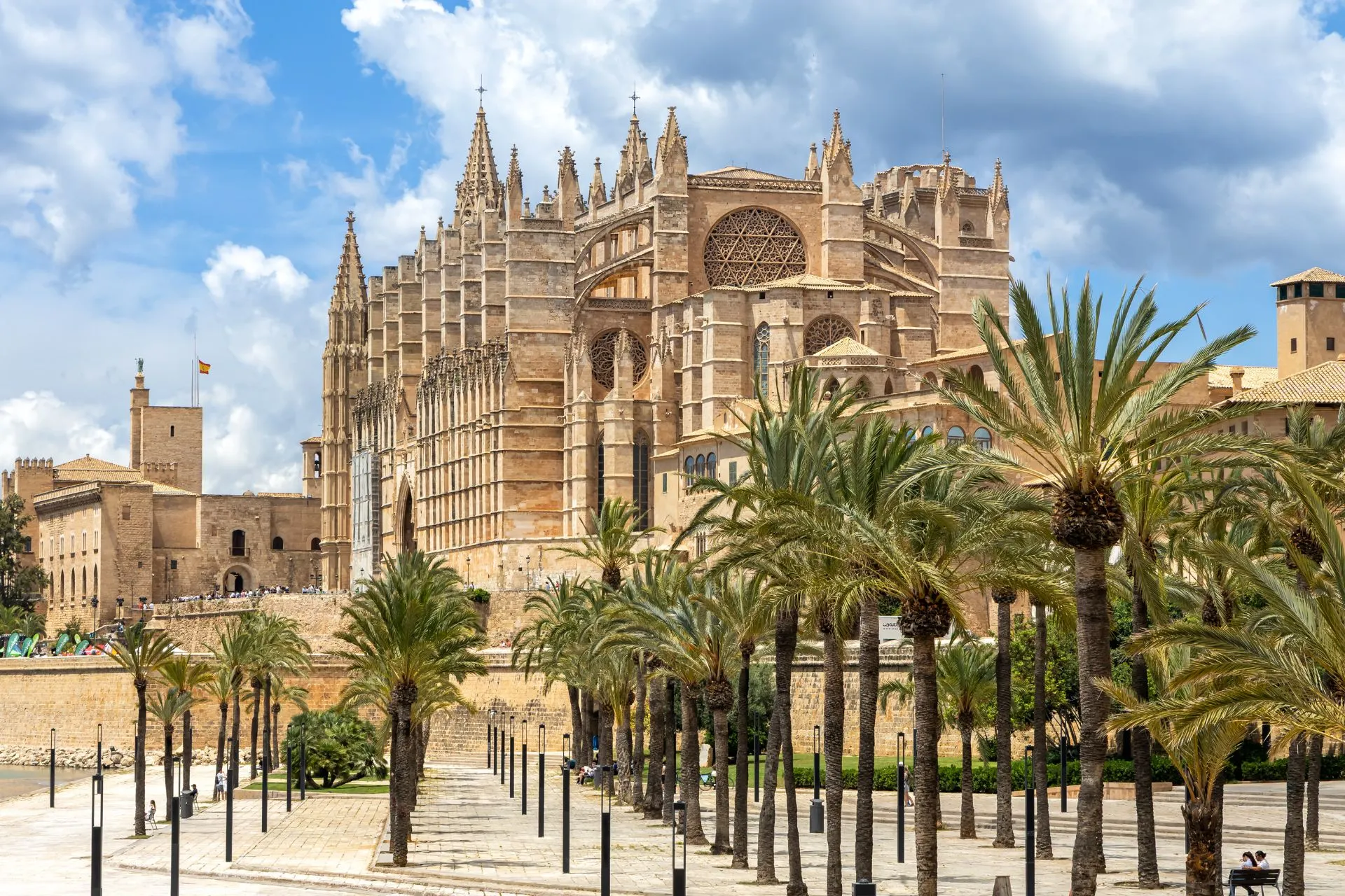 Panoramisch uitzicht op Kathedraal La Seu in Palma de Mallorca, omringd door palmbomen en een zonnige promenade onder een blauwe lucht met wolken. Deze gotische kathedraal is een van de belangrijkste bezienswaardigheden van Mallorca en een populaire bestemming voor cultuur- en architectuurliefhebbers tijdens een vakantie op het eiland.
