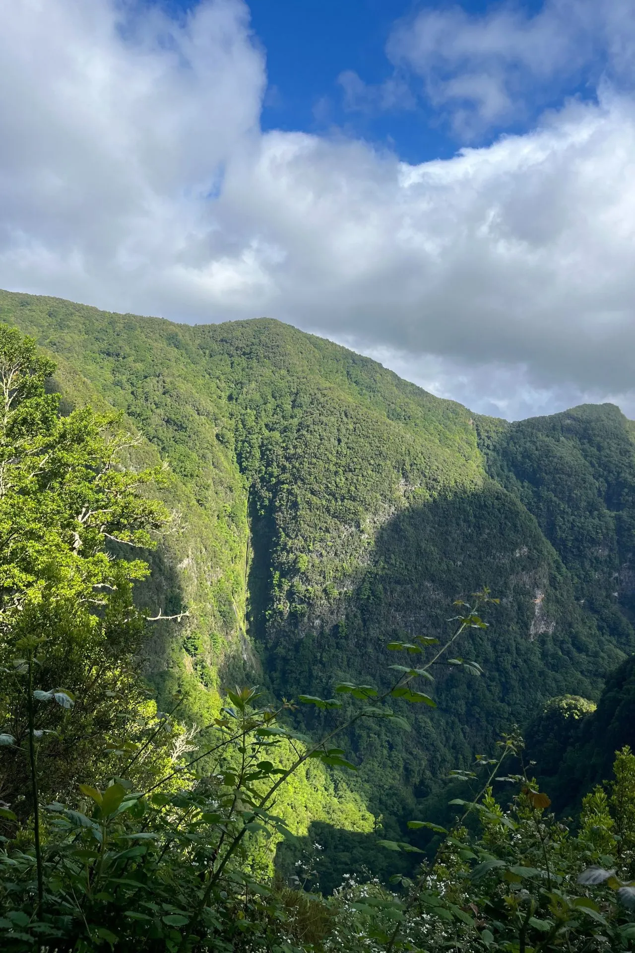 Uitzicht op groene bergen en diepe valleien onder een deels bewolkte lucht in Madeira.