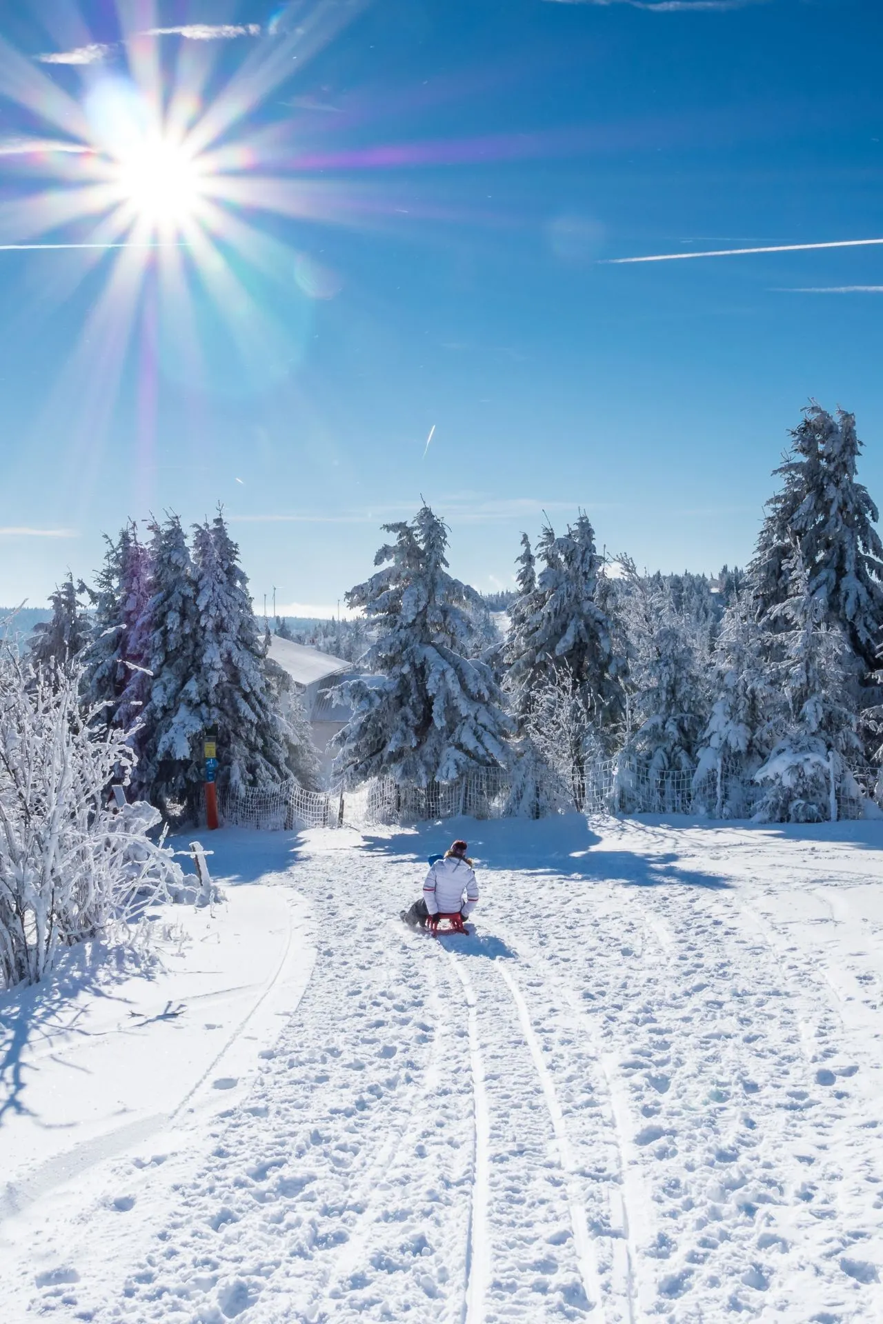 Besneeuwde heuvels en dichte dennenbossen in een Duits wintersportgebied, met een kind dat van een besneeuwde helling slee rijdt onder een stralende winterzon.
