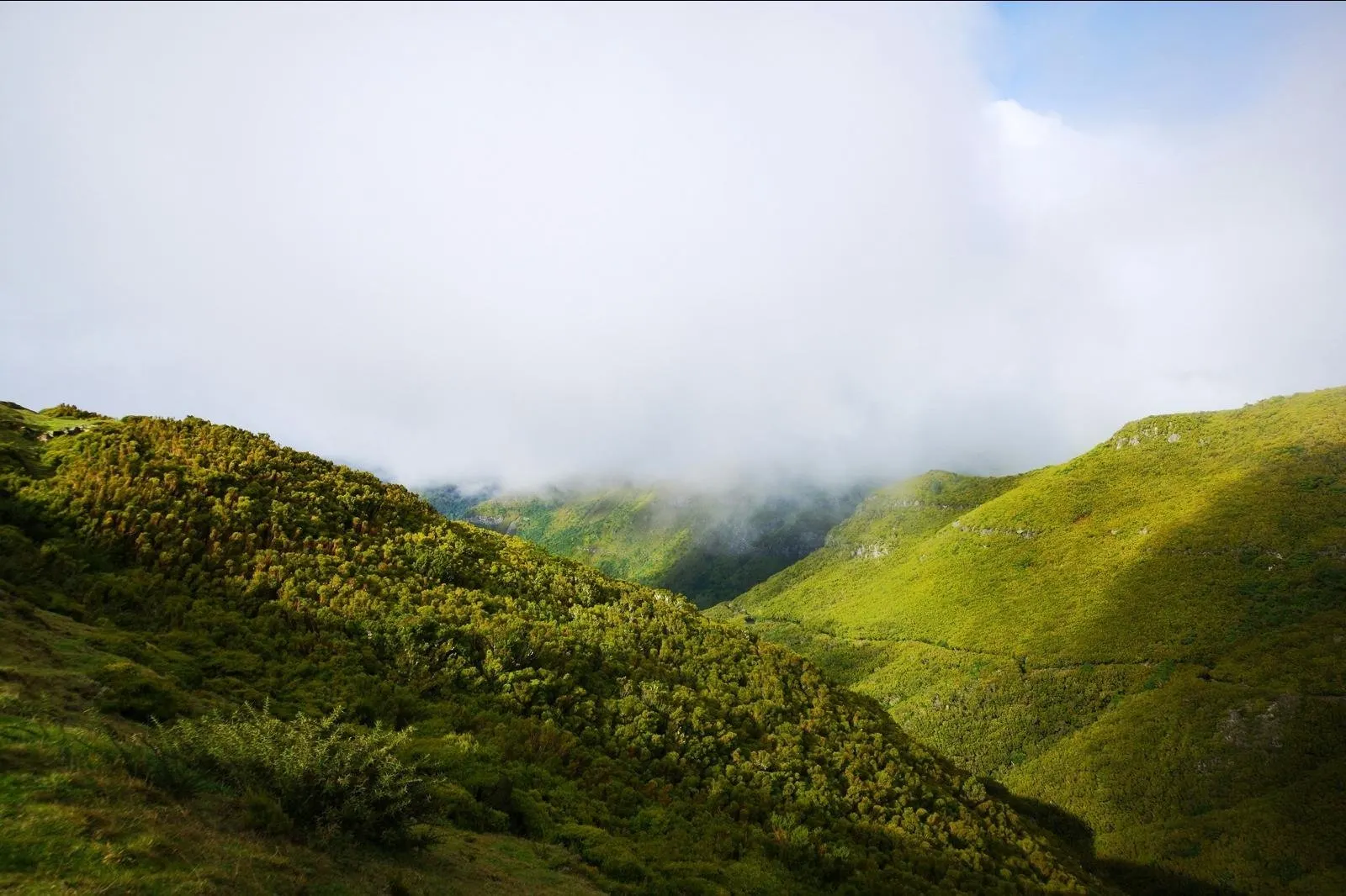 Madeira