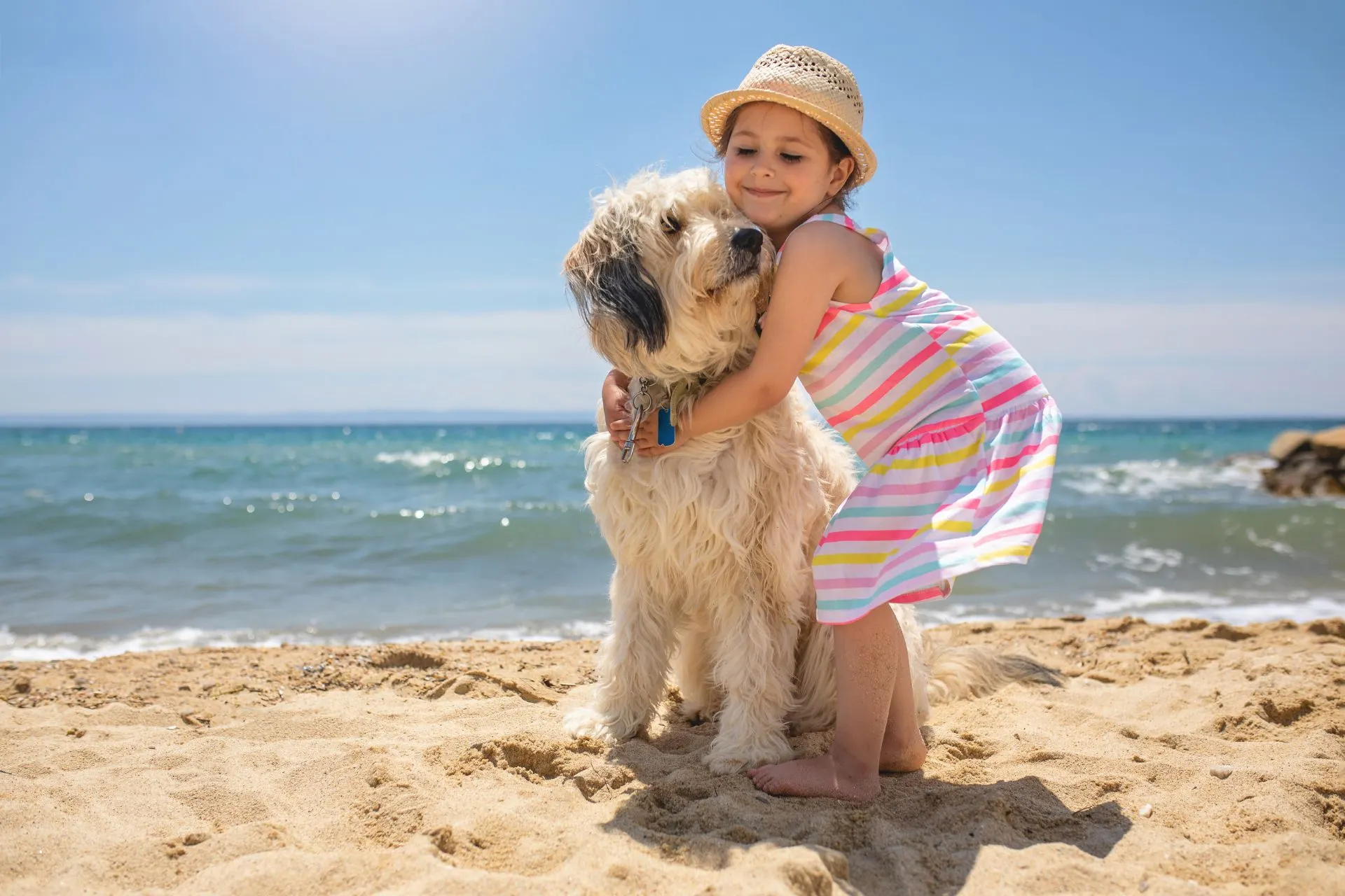 Meisje knuffelt hond op zonnig strand, ideaal moment om vooraf een reisverzekering of annuleringsverzekering af te sluiten via Travelcenter de Wit