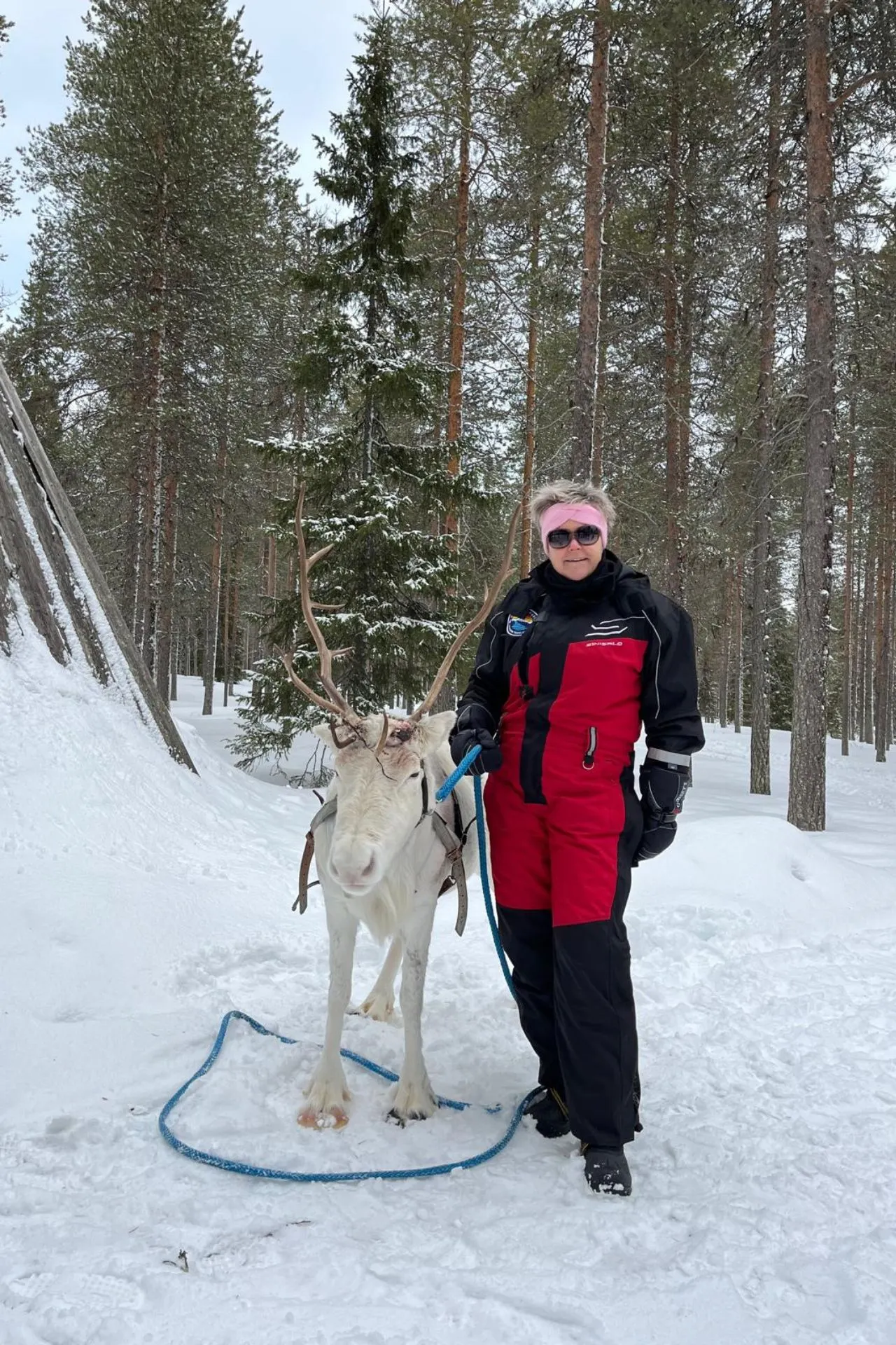 Persoon in rode winterkleding met roze haarband en zonnebril staat in de sneeuw met een wit rendier in Fins Lapland