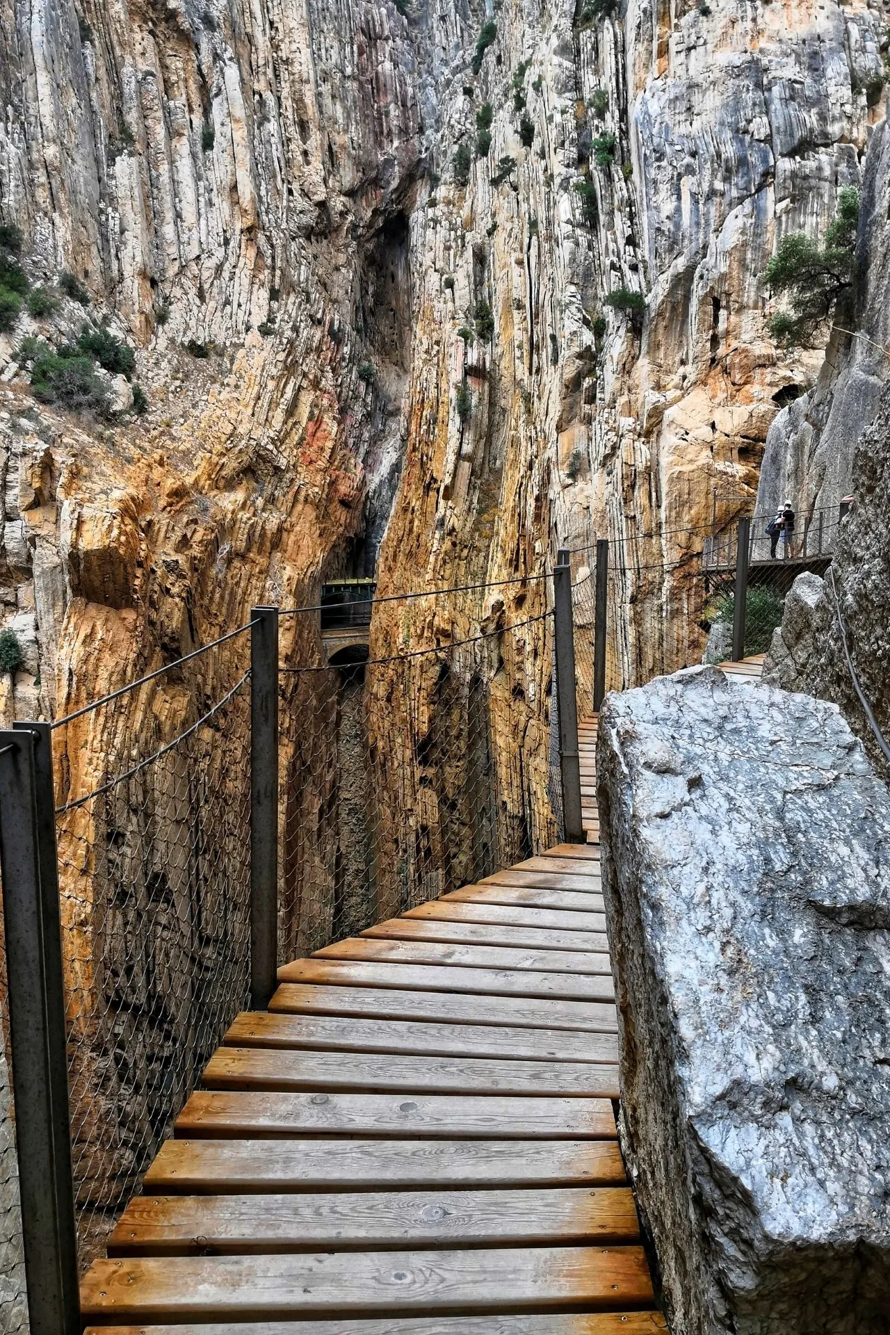 Een houten wandelpad dat langs een diep ingesneden kloof loopt, beveiligd met metalen relingen en netten, biedt wandelaars een spectaculair uitzicht op de steile rotsformaties om hen heen. De lagen en kleuren van het gesteente tonen de natuurlijke geschiedenis van het gebied, terwijl het pad zich voorzichtig door de kloof slingert. Deze indrukwekkende route vormt een avontuurlijke ervaring in de bergachtige omgeving rond Malaga in Spanje.