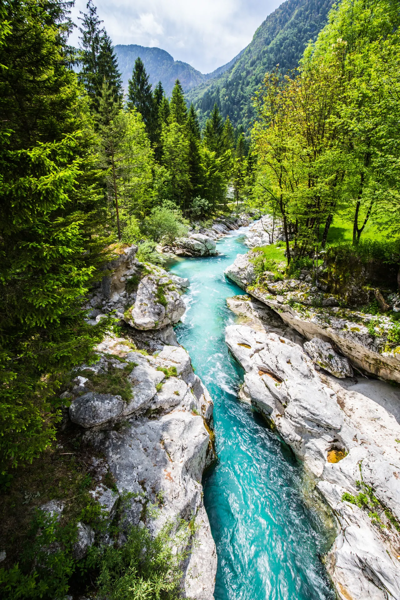 De Vintgar Gorge in Slovenië met helder stromend water en een houten wandelpad tussen steile rotswanden.