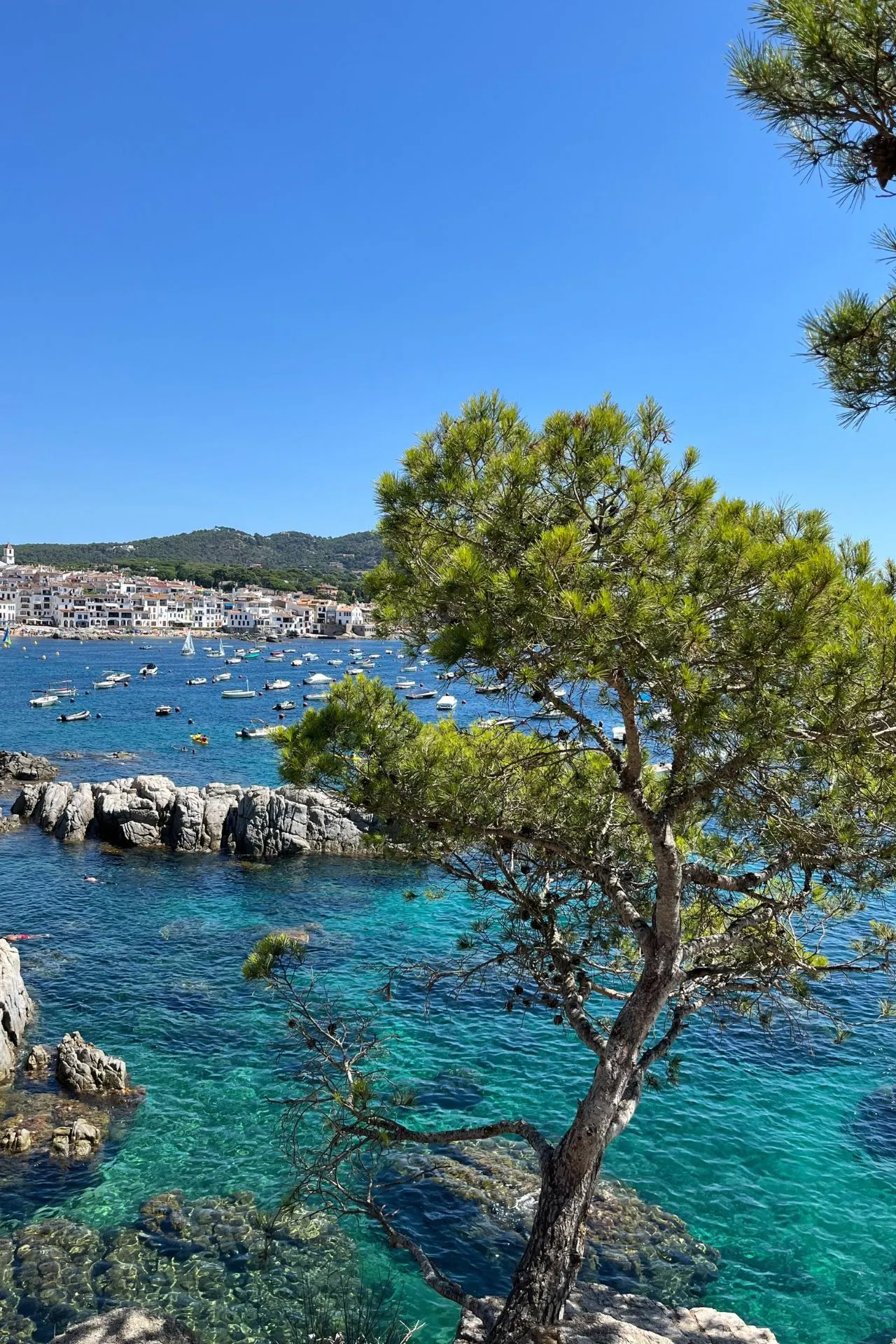 Uitzichtpunt met houten hek en kromme boom, uitkijkend over een baai met turquoise water en witte huizen in de verte.