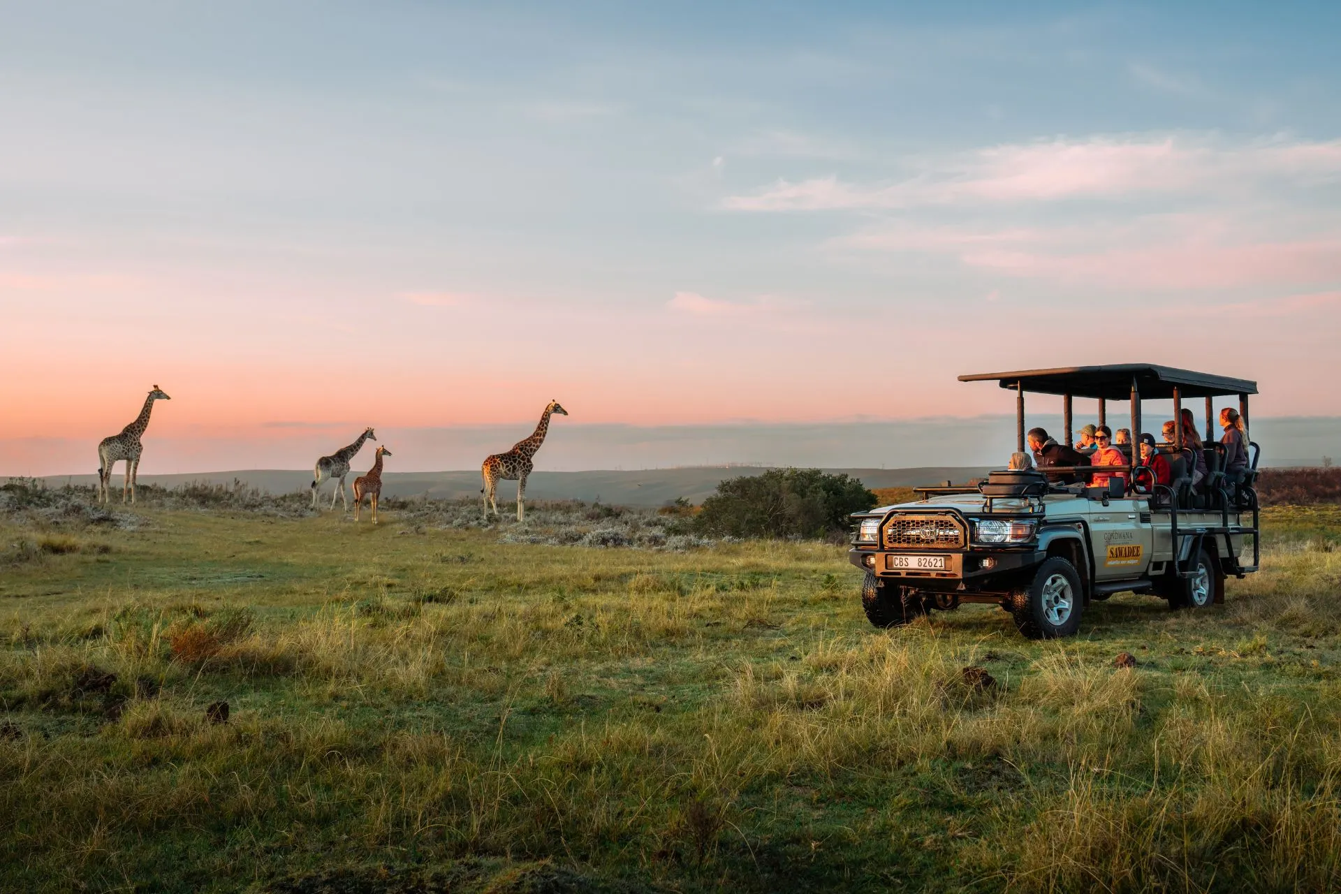 Safari in Zuid‑Afrika tijdens een Sawadee groepsreis met wilde dieren in natuurgebied. 
Tijdens een Sawadee groepsreis door Zuid‑Afrika maak je kennis met de veelzijdigheid van het land. Van safari’s in natuurparken tot uitgestrekte landschappen en lokale cultuur: deze avontuurlijke groepsreizen combineren gezamenlijke activiteiten met voldoende vrije tijd. Ideaal voor reizigers die actief willen ontdekken, zonder vast te zitten aan een strak programma.
