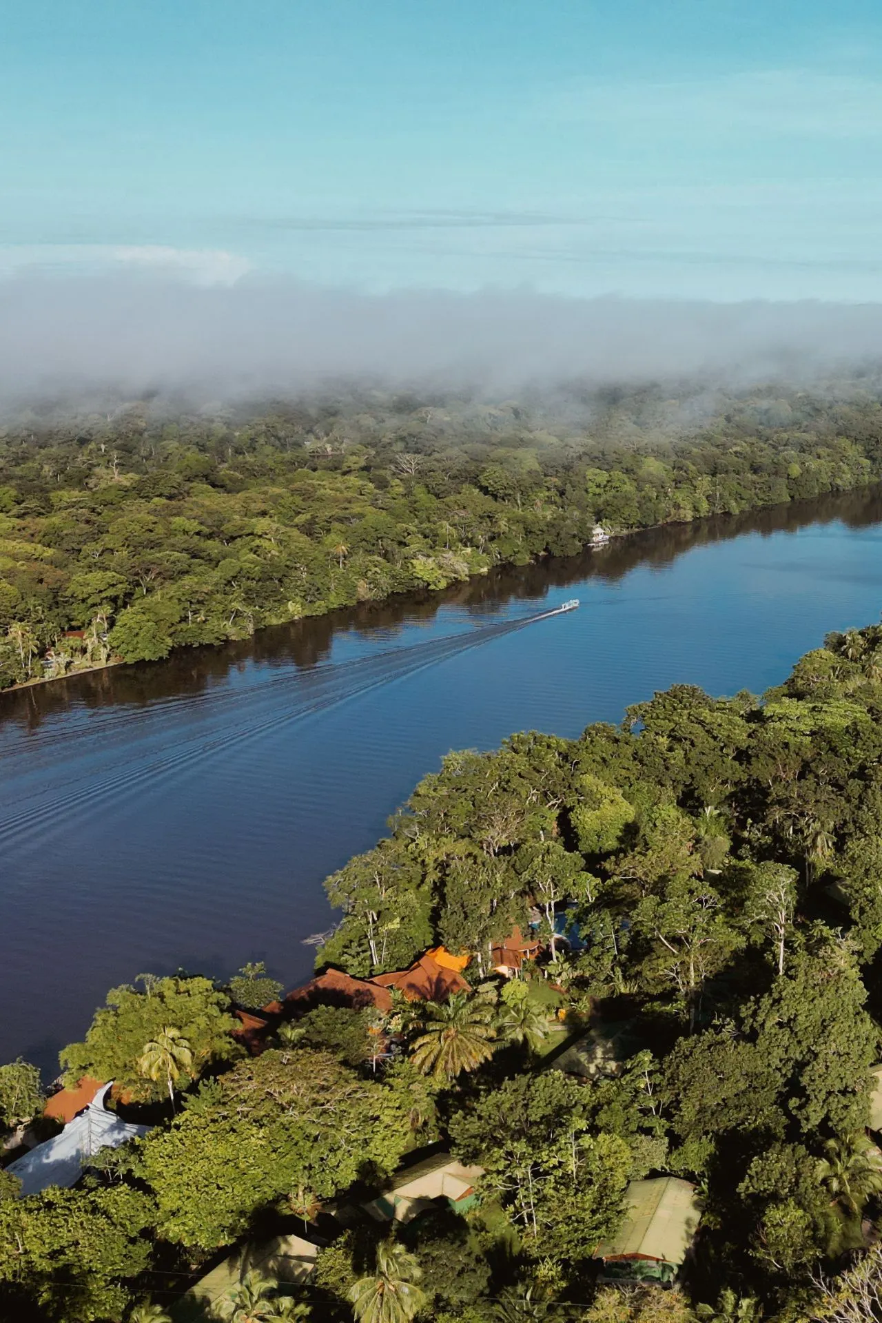Luchtfoto van een rivier omringd door weelderig tropisch regenwoud in Tortuguero, Costa Rica.