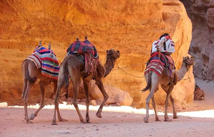 Petra - Jordanië