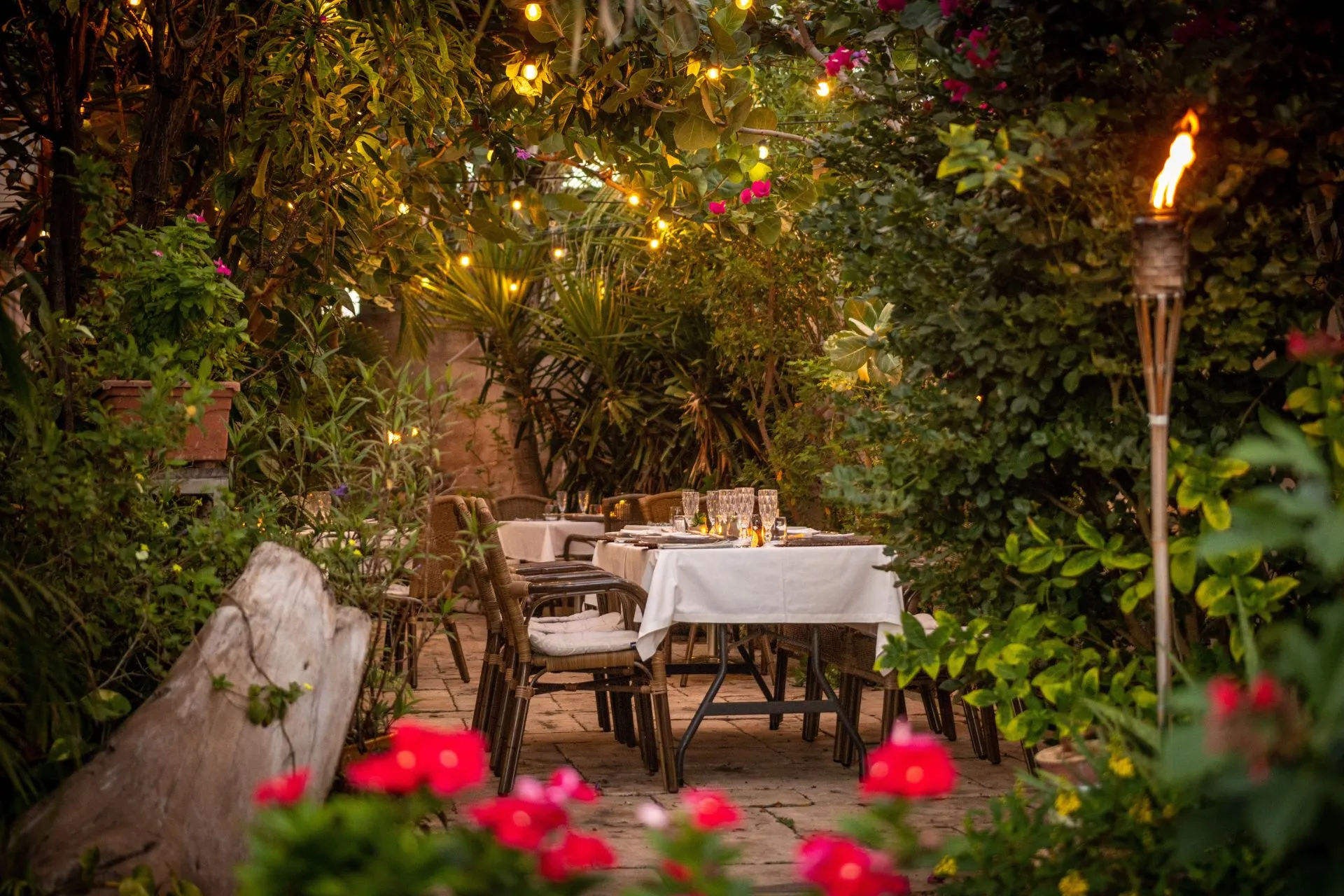 Een betoverende tuinsetting op Aruba, verlicht door sfeervolle lichtslingers en fakkels. De tafels zijn elegant gedekt met witte tafelkleden en glazen, omgeven door weelderige groene planten en kleurrijke bloemen. De intieme ambiance nodigt uit tot een romantisch diner te midden van de natuur.