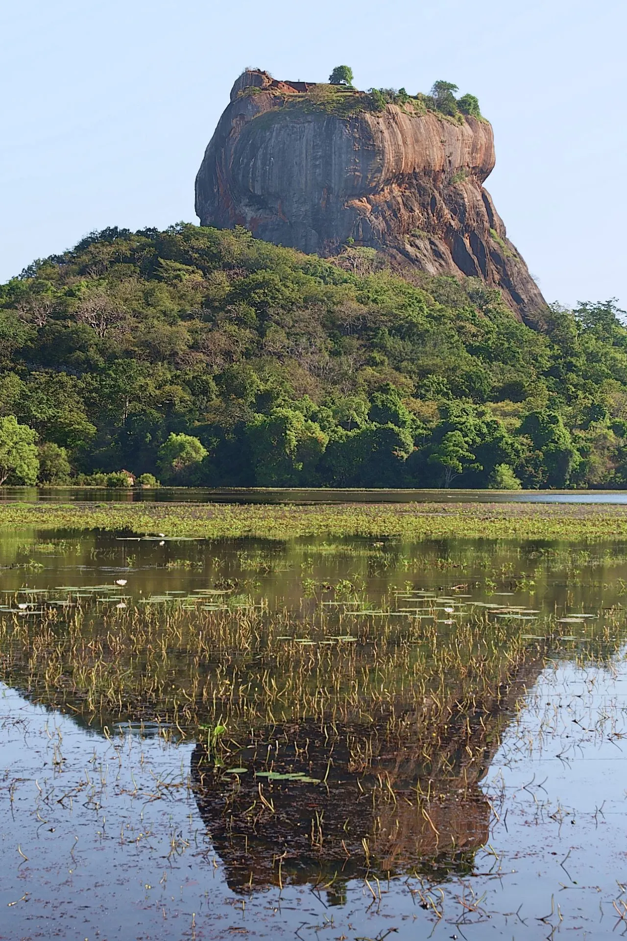 De majestueuze Sigiriya-rots in Sri Lanka, gezien vanaf een afstand met een perfect spiegelbeeld in het rustige water op de voorgrond. De iconische rots, ook wel bekend als de Leeuwenrots, rijst steil omhoog uit het groene landschap en is omgeven door dichte jungle. De serene waterpartij weerspiegelt de indrukwekkende vorm en hoogte van de rots, wat zorgt voor een bijna schilderachtig tafereel bij zonsopgang of vroege ochtendlicht.