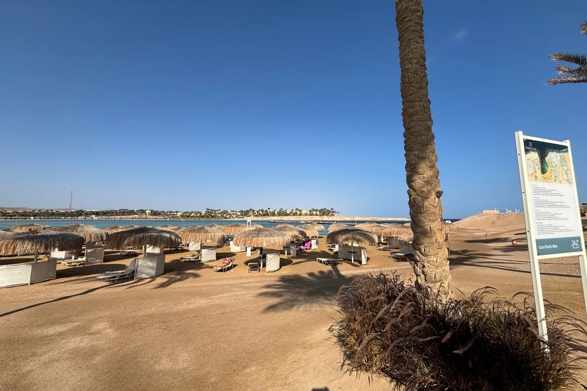 Strandbeeld met rijen rieten parasols en ligbedden op een zandkleurige kustlijn, met kalm water en een heldere blauwe lucht op de achtergrond. Een informatiebord staat rechts in beeld, terwijl palmbomen schaduw bieden. Dit beeld benadrukt zon, zee en ontspanning, ideaal voor promotie van strandvakanties en resorts aan de Rode Zee.