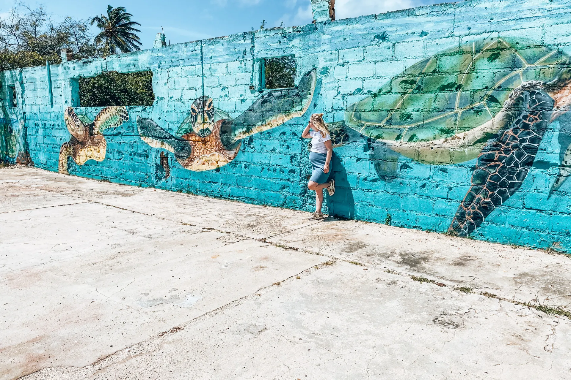 "Muurschildering van zeeschildpadden op een turquoise muur in een open buitenruimte, met gedetailleerde illustraties van verschillende schildpadden in natuurlijke tinten, omringd door een betonnen vloer en tropische vegetatie op de achtergrond."