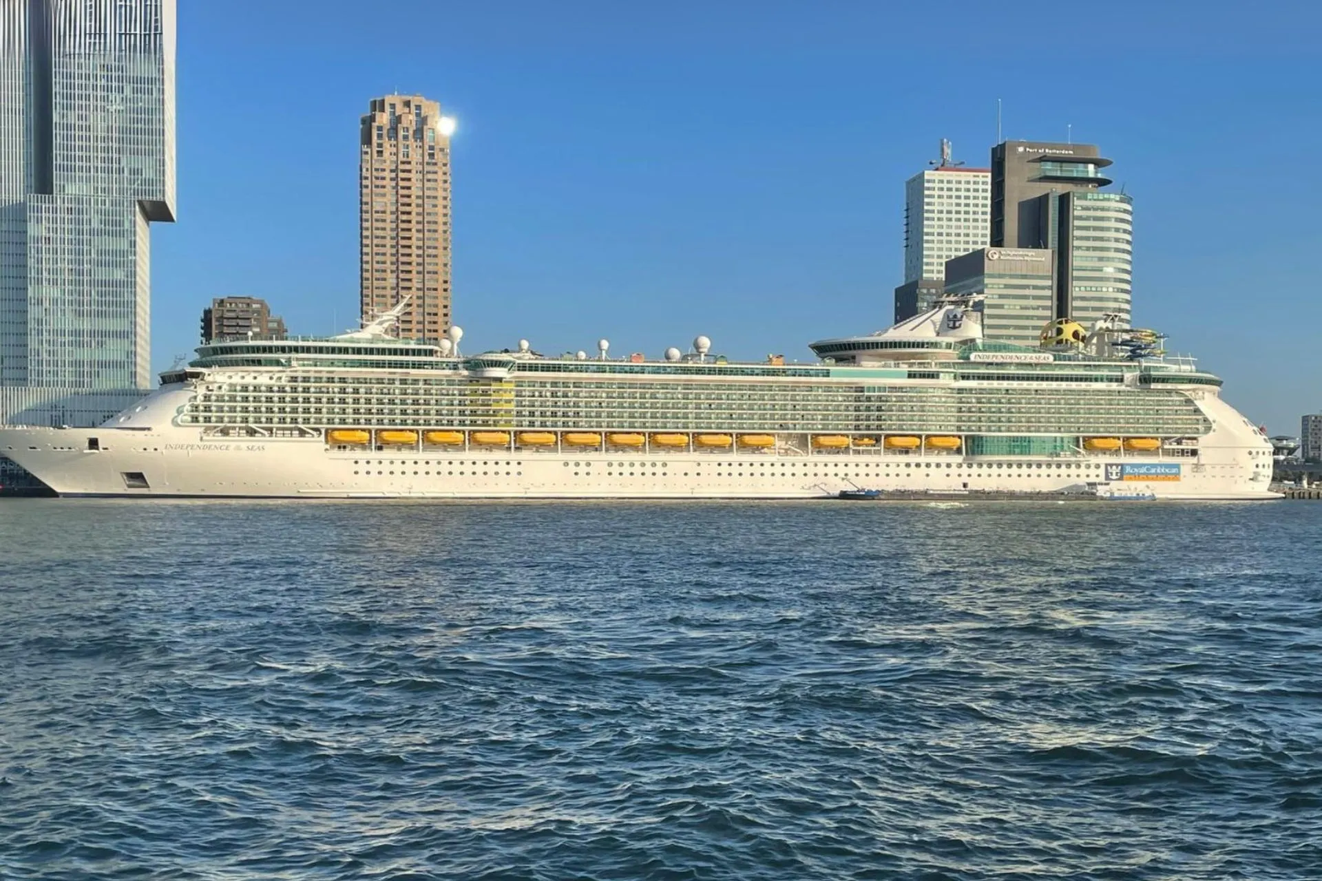 Zijaanzicht van het imposante cruiseship Independence of the Seas in de haven van Rotterdam, dobberend naast de skyline van de stad.