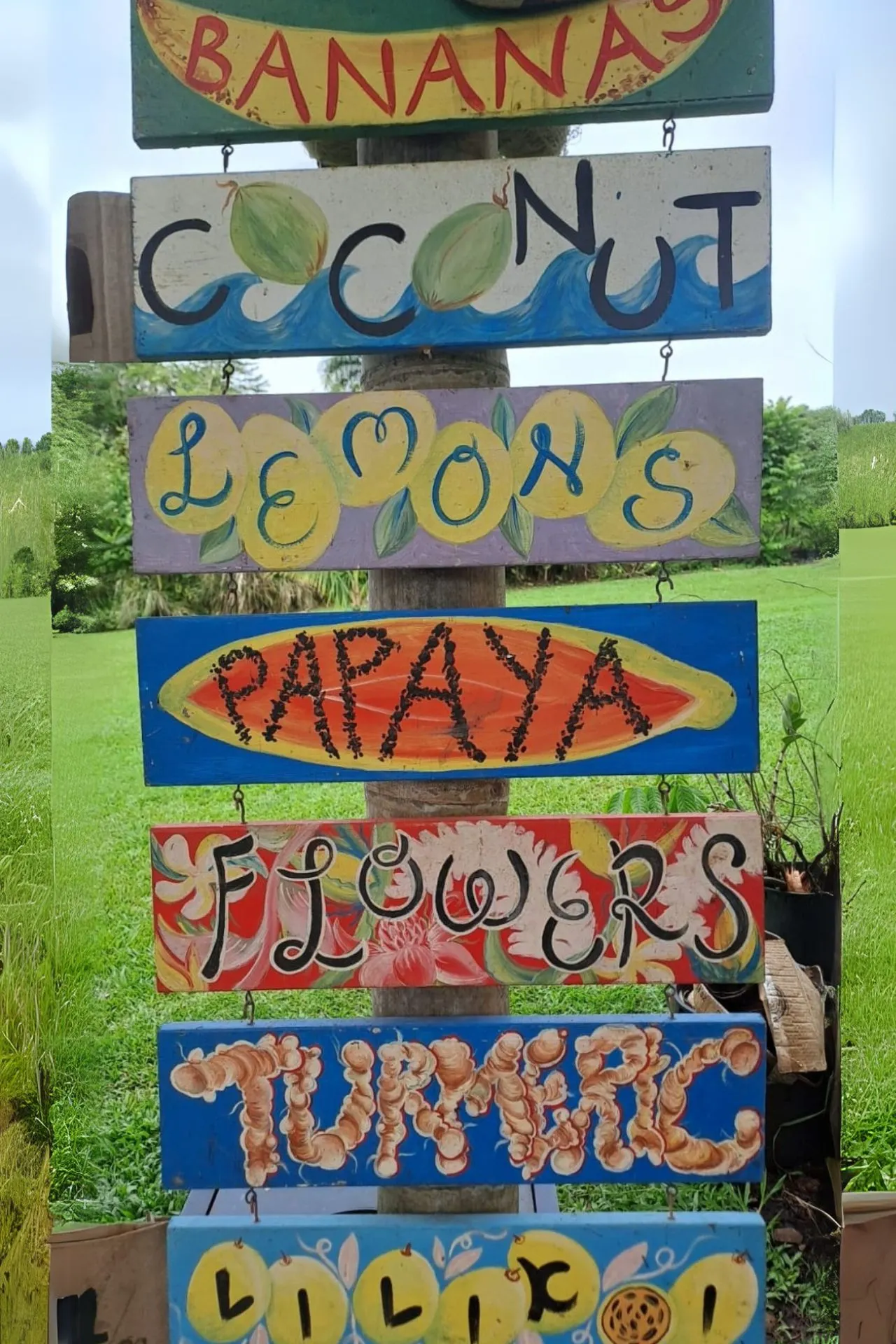Een kleurrijke houten wegwijzer met fruitnamen zoals ‘bananas’, ‘coconut’ en ‘papaya’ op een tropische locatie