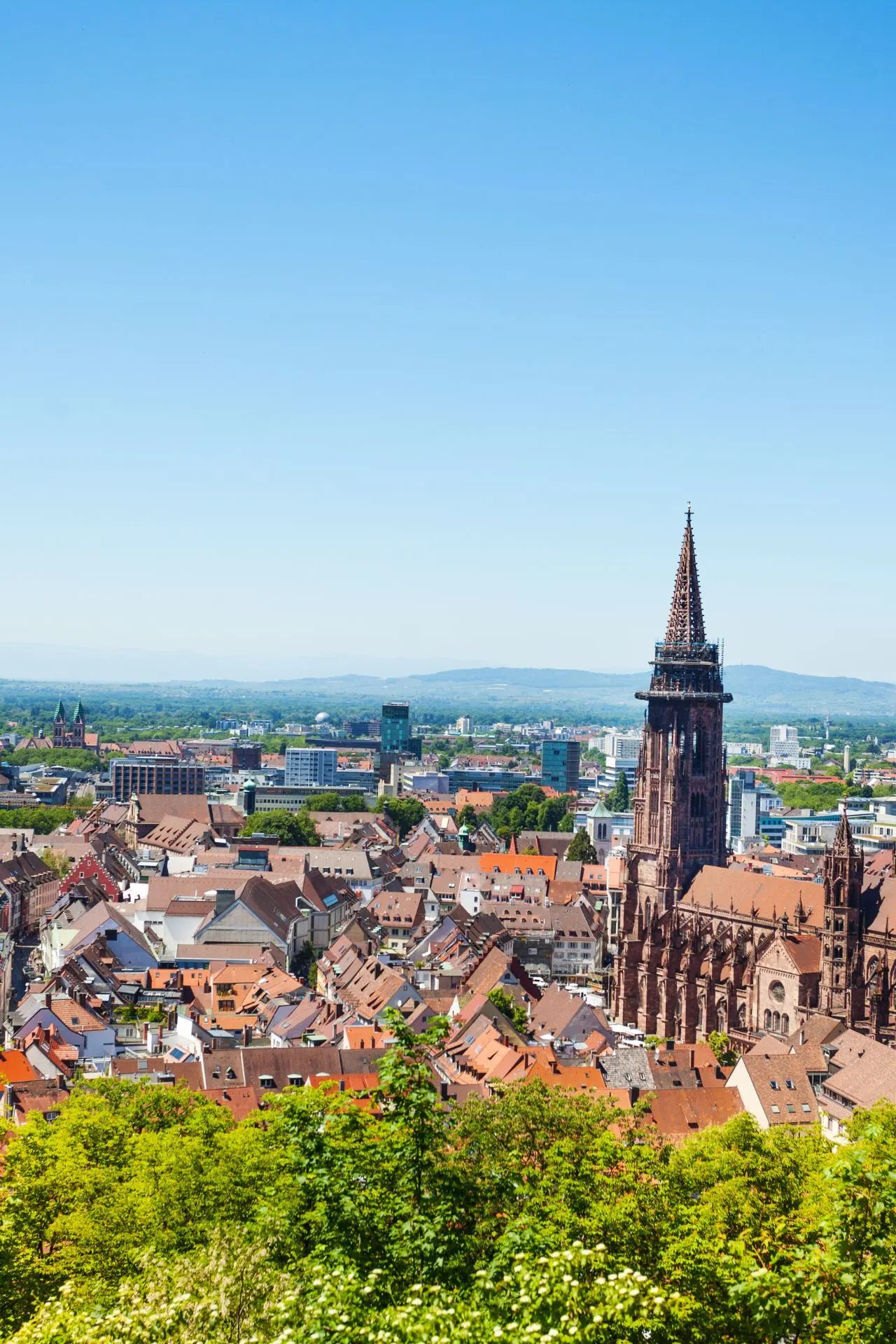 Mooi bovenaanzicht van de stad Münster, met een blauwe lucht en groene bomen en daken.