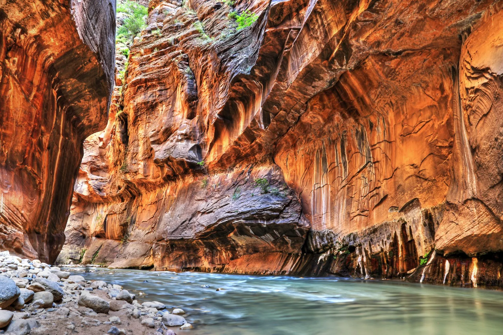 Spectaculaire rode rotswanden en smalle kloof met stromend water in Zion National Park, Utah. Dit park staat bekend om zijn indrukwekkende canyons en avontuurlijke hikes zoals The Narrows. Ideaal voor reizigers die in 2026 de mooiste nationale parken van Amerika willen ontdekken en profiteren van digitale parkpassen.