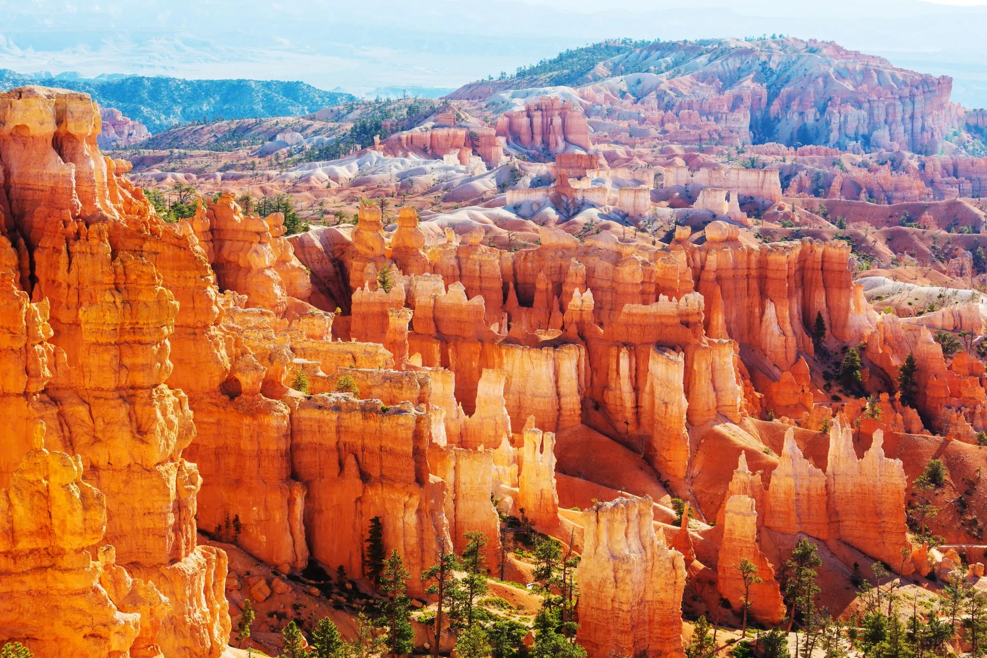 Unieke hoodoos en kleurrijke rotsformaties in Bryce Canyon National Park, Utah. Deze natuurlijke sculpturen creëren een adembenemend landschap dat perfect is voor fotografie en wandelingen. Bryce Canyon is een hoogtepunt van elke rondreis door Amerikaanse nationale parken en een bestemming die je niet mag missen.
