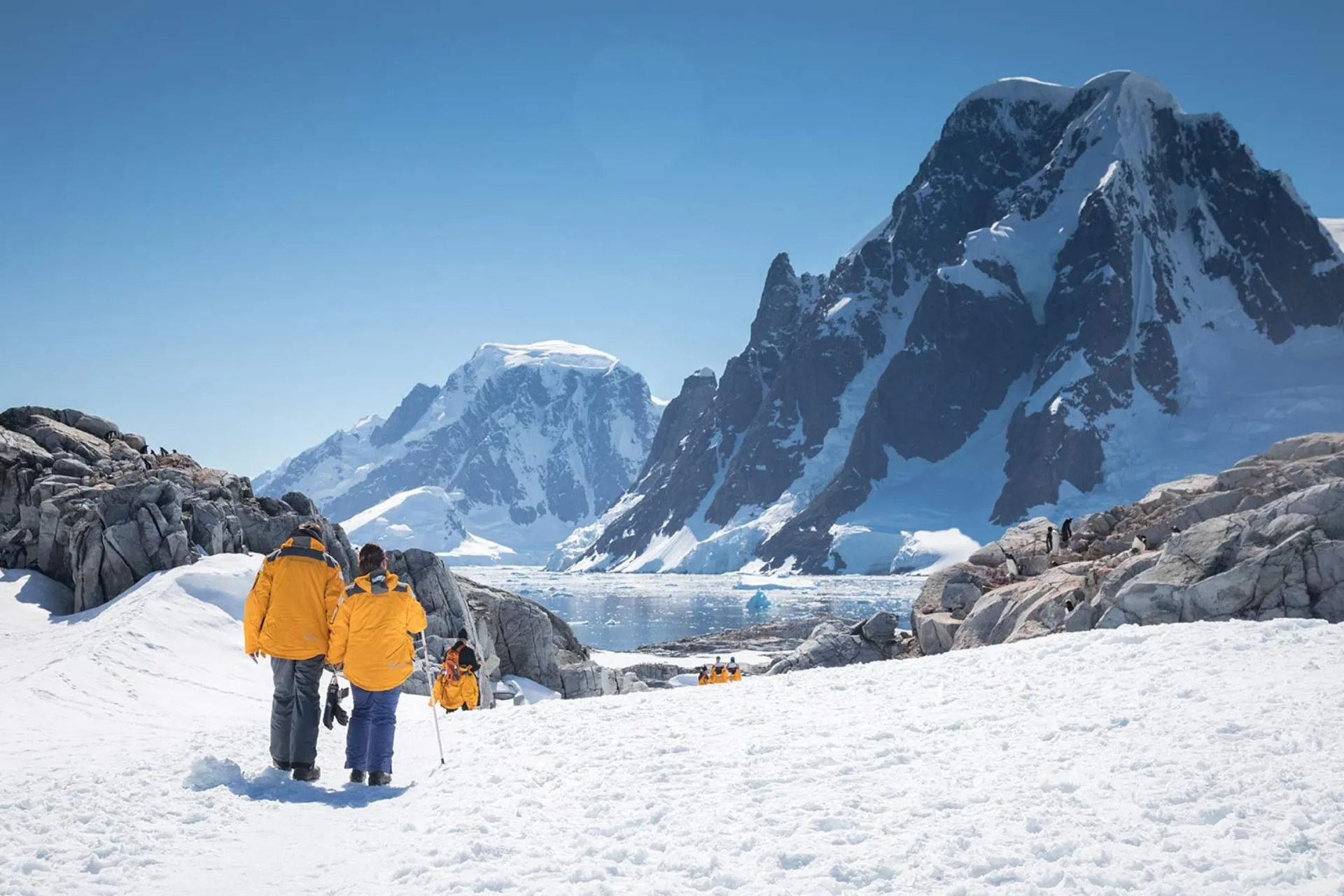 Sawadee groepsreis naar Antarctica met reizigers in poollandschap met gletsjers en bergen. Met Sawadee groepsreizen ontdek je bestemmingen waar natuur en avontuur centraal staan. Tijdens een expeditie naar Antarctica ervaar je indrukwekkende ijslandschappen, gletsjers en bergen van dichtbij. Deze avontuurlijke rondreizen zijn ideaal voor reizigers die verder willen kijken dan de gebaande paden en een bestemming écht willen beleven, samen met een kleine groep gelijkgestemden.