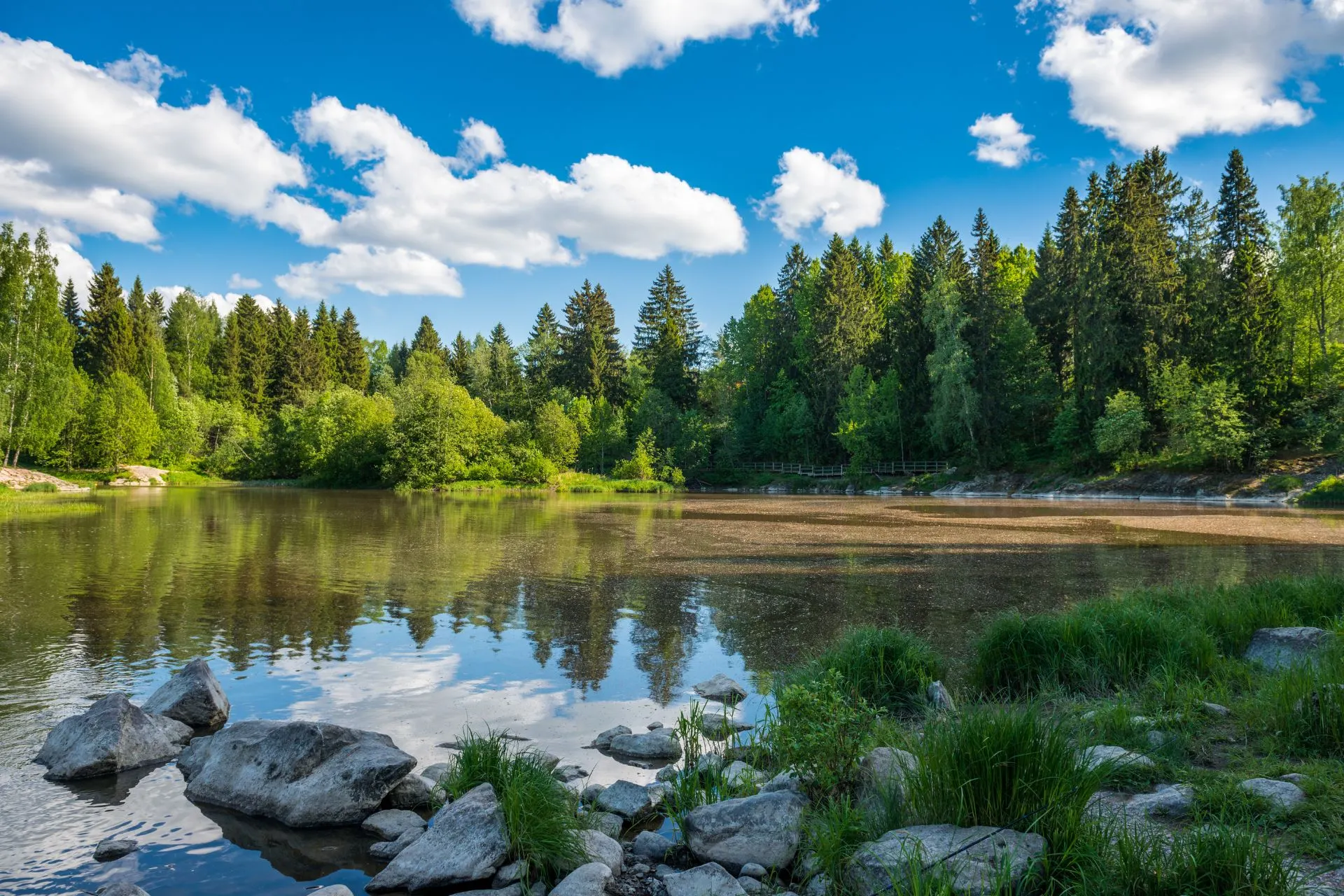 Uitgestrekte bossen en rustige meren in Finland, met een vredig natuurlandschap omgeven door groene bomen en spiegelend water onder een heldere lucht.
