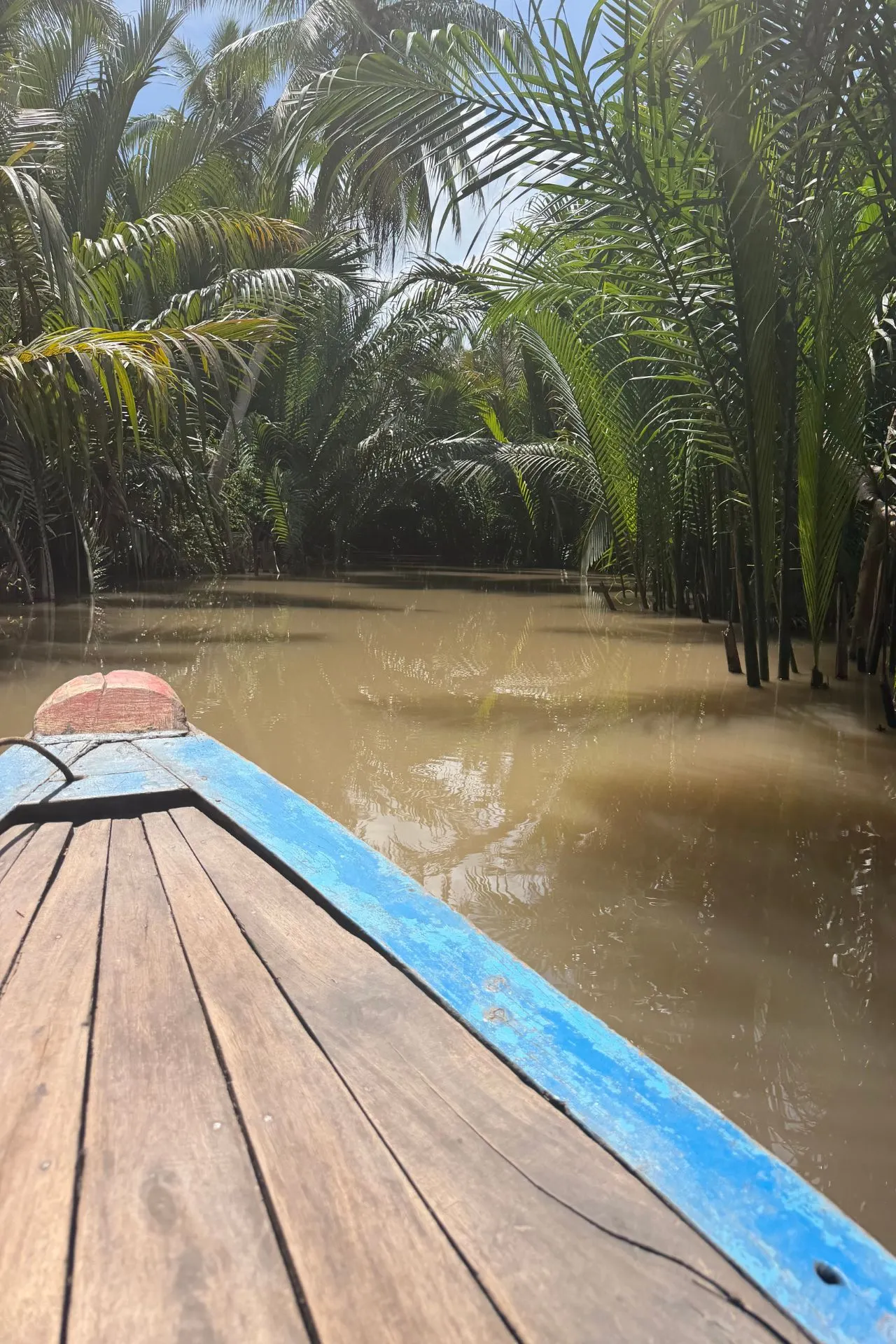 Boottocht over een smalle waterweg in de Mekong Delta, omringd door dichte kokospalmen en tropische vegetatie. Tijdens deze excursie ontdek je het unieke rivierlandschap van Zuid-Vietnam en ervaar je hoe het leven zich afspeelt langs de vele kanalen van de delta.