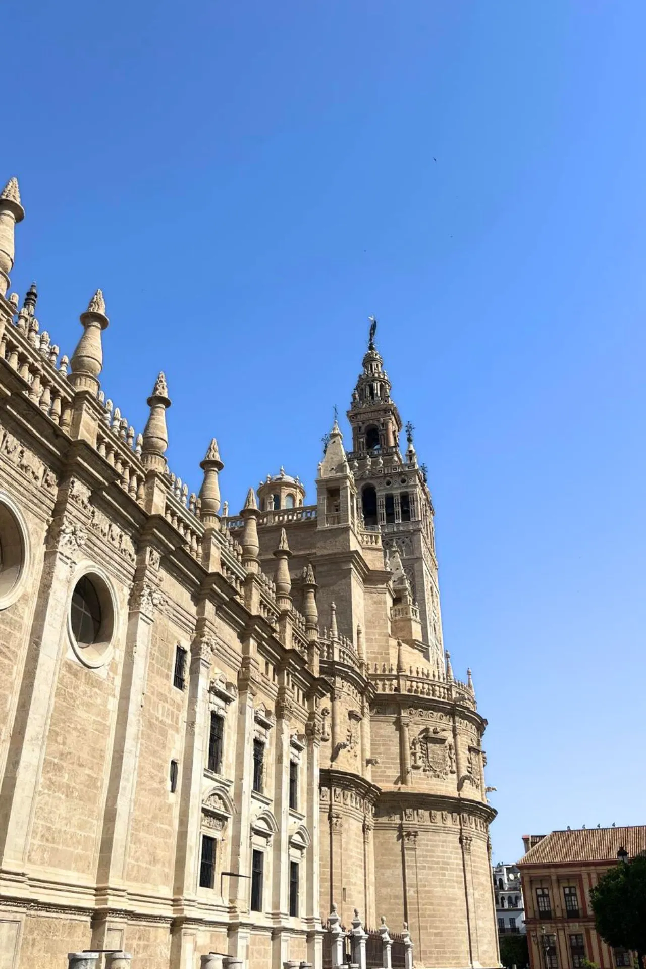 Zijaanzicht op de Kathedraal van Sevilla met haar rijke barokke en gotische architectuur. De Giralda torent erachter uit onder een strakblauwe hemel.

