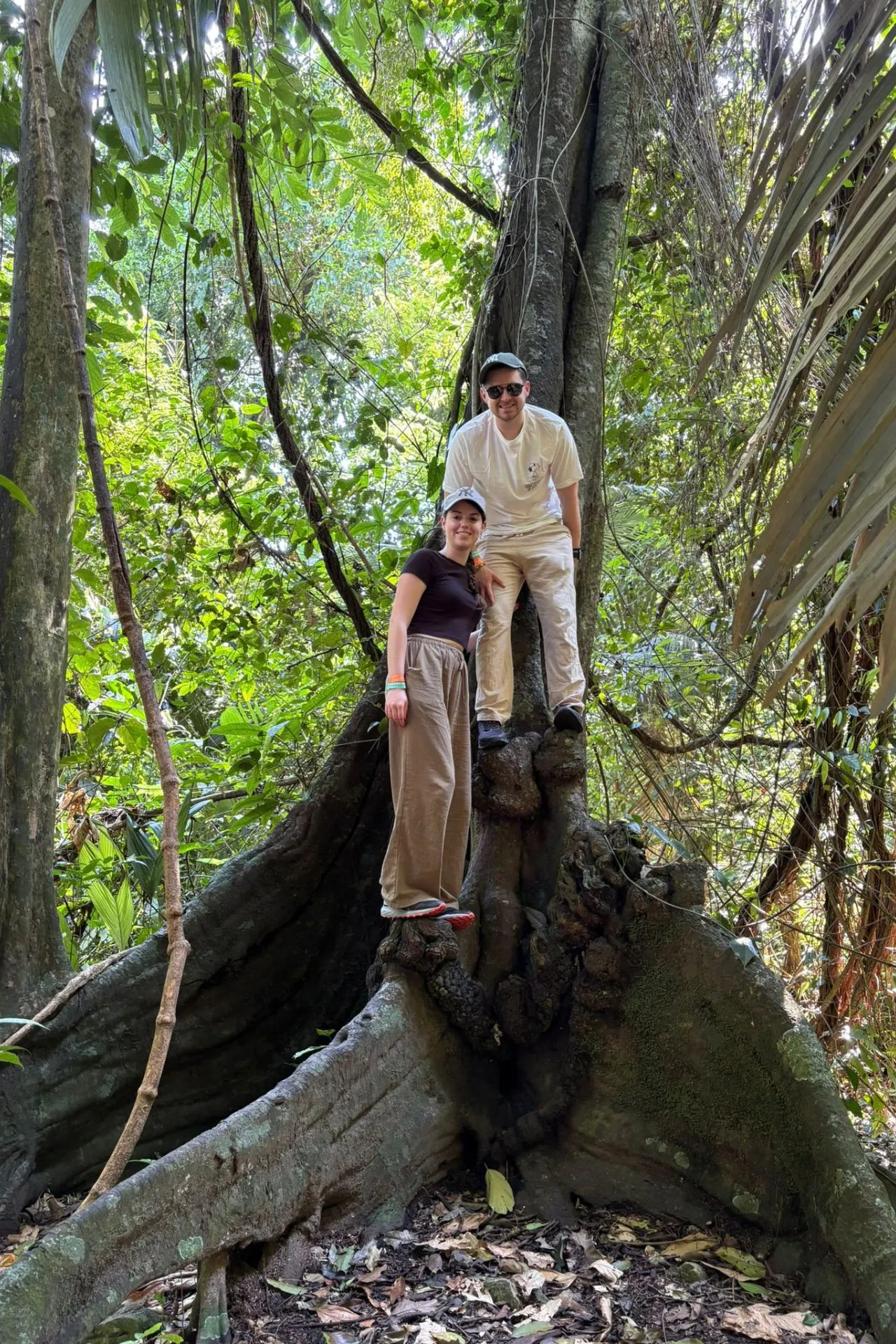 Bezoekers ontdekken de indrukwekkende natuur van Mexico tussen gigantische boomwortels in een tropisch regenwoud. De jungle van Yucatán biedt een unieke combinatie van avontuur, wildlife en bijzondere landschappen. Een bezoek aan deze groene omgeving maakt een rondreis door Mexico extra afwisselend en onvergetelijk.