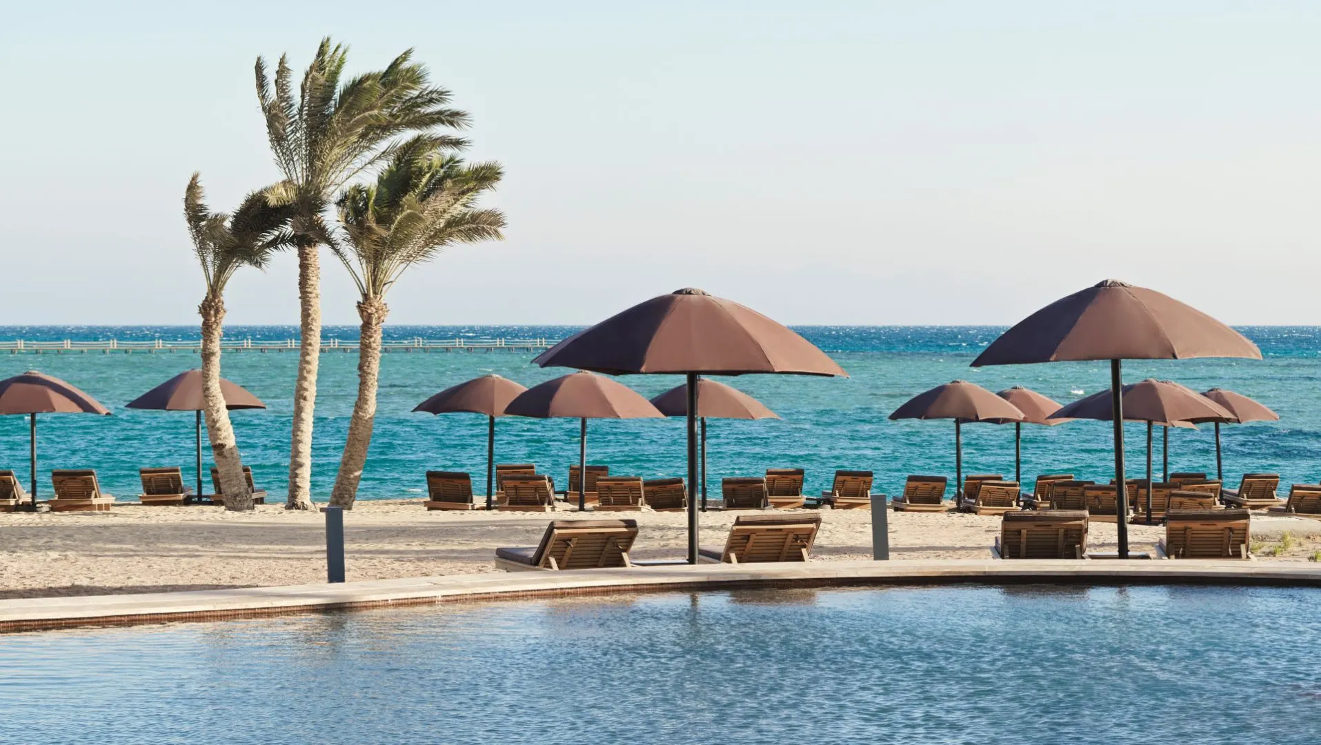 Strand en zwembad bij The Chedi El Gouna in Egypte met uitzicht op de helderblauwe Rode Zee. Op de voorgrond een infinity pool met spiegelend water, omringd door stijlvolle ligbedden en grote bruine parasols. Op het strand staan rijen comfortabele ligstoelen onder parasols, perfect voor zonnebaden en ontspanning. Palmbomen zorgen voor een tropische sfeer, terwijl de rustige zee en heldere lucht een idyllische setting creëren voor een luxe vakantie met premium resortfaciliteiten.
